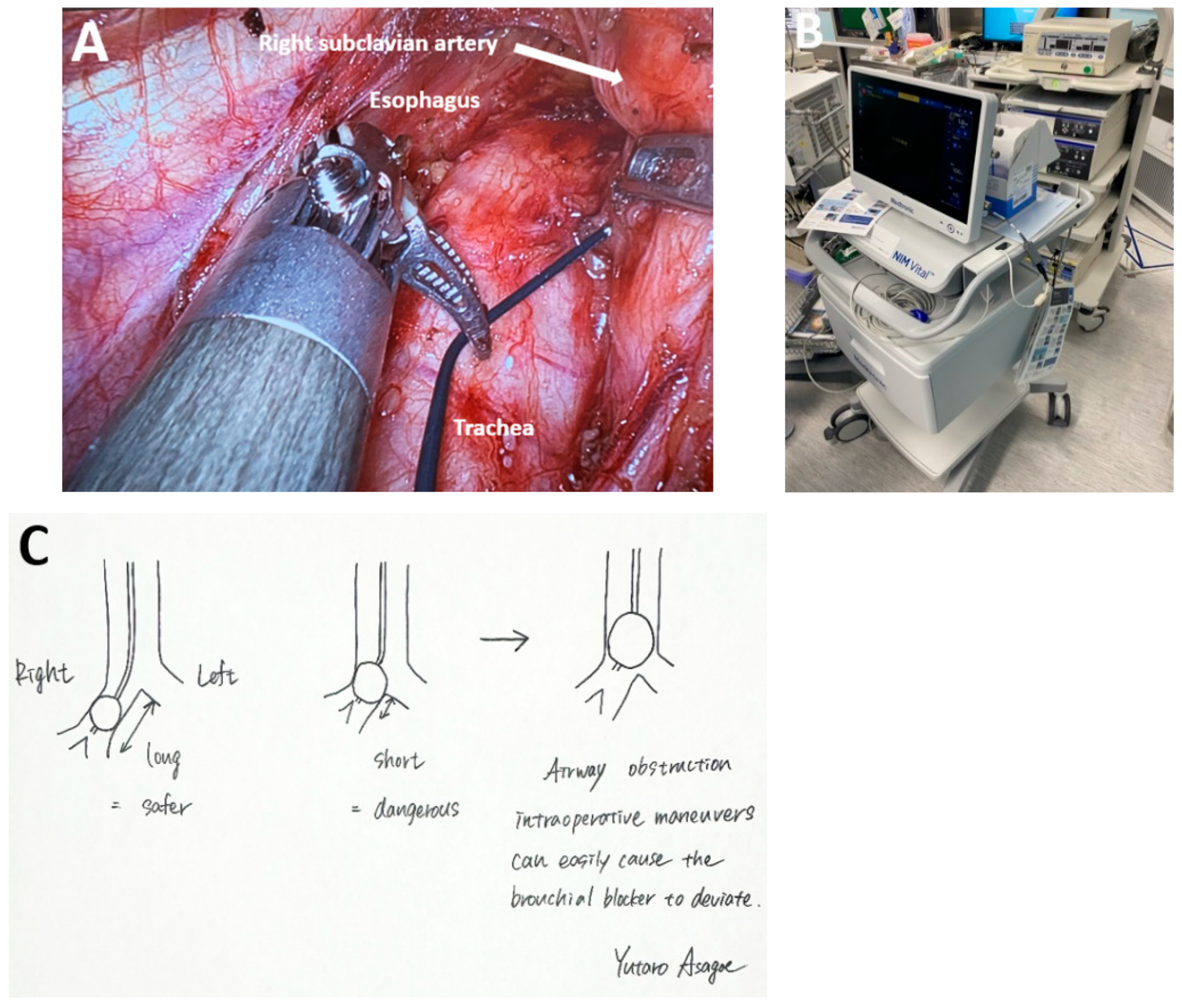 Medicina 61 02176 g006 Medicina 61 02176 g006
