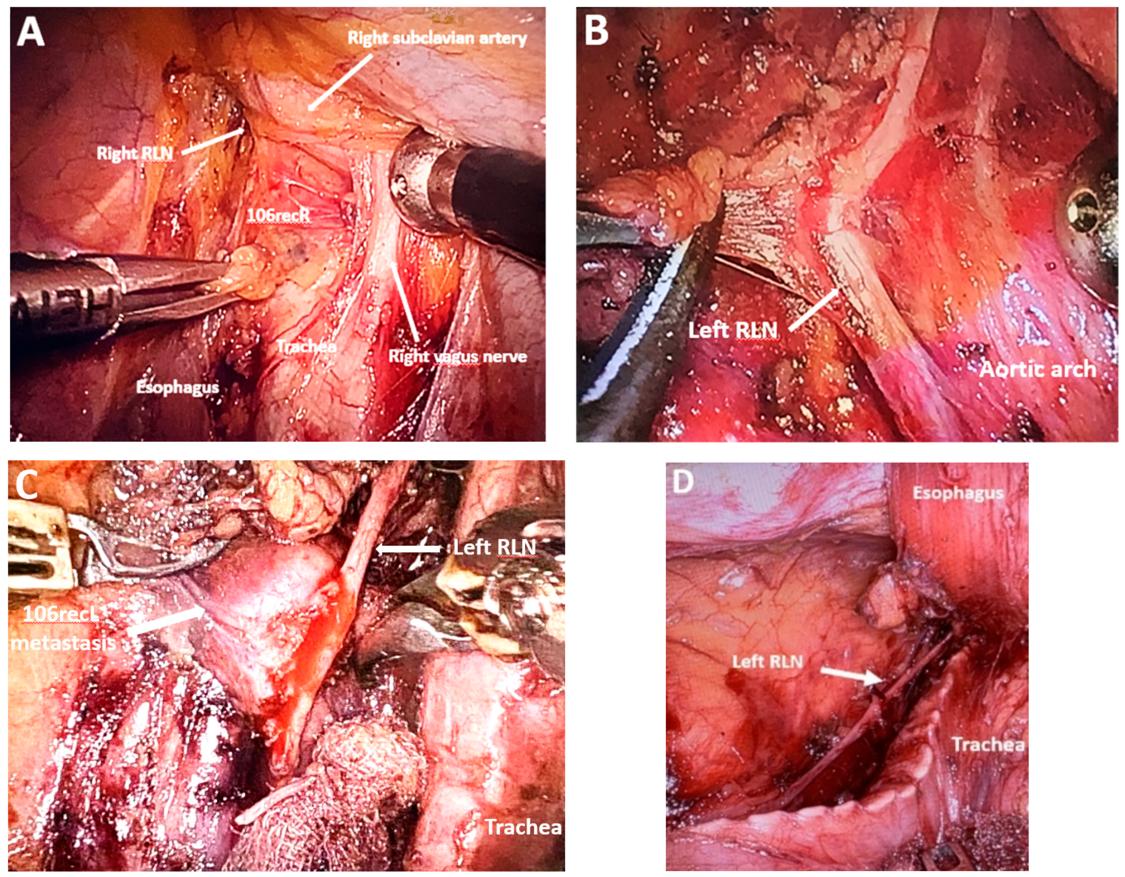 Medicina 61 02176 g008 Medicina 61 02176 g008
