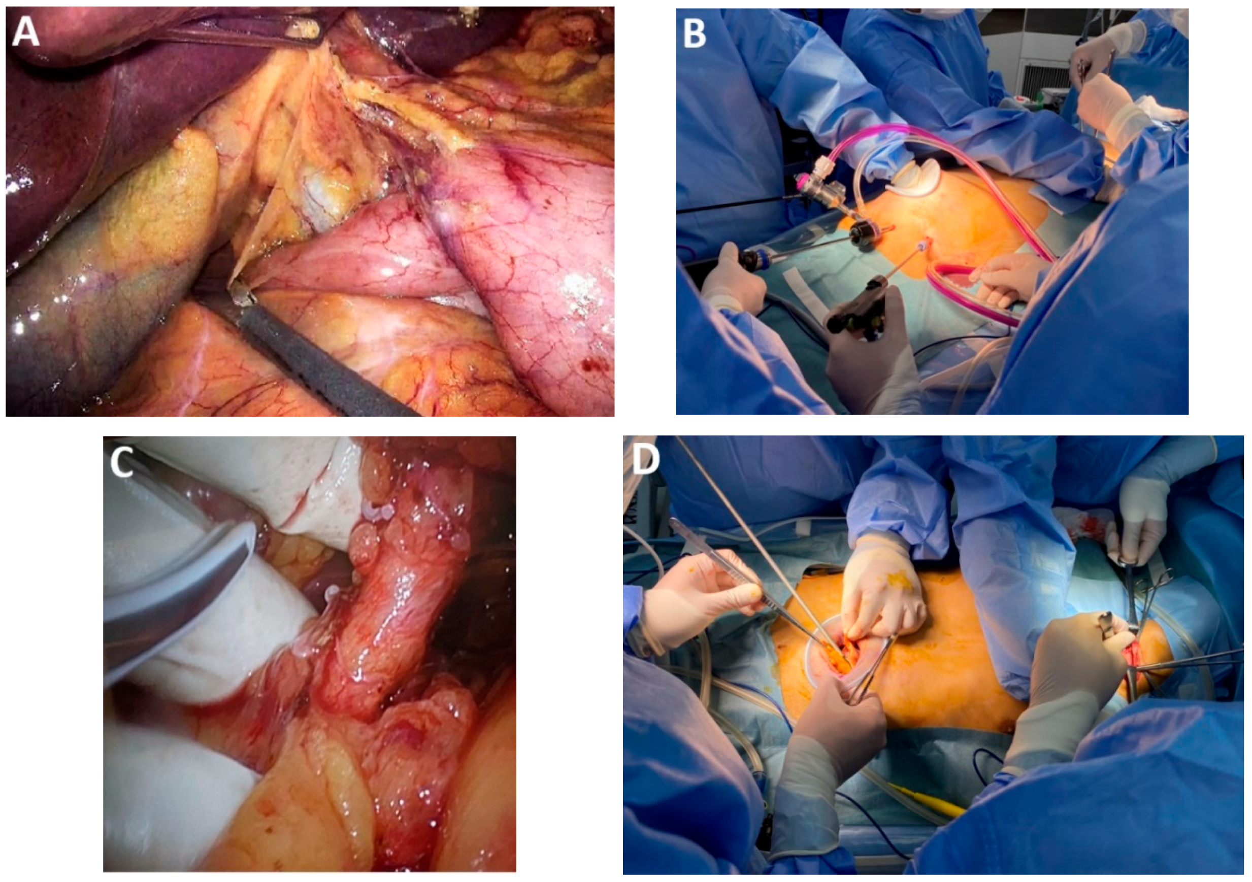 Medicina 61 02176 g009 Medicina 61 02176 g009