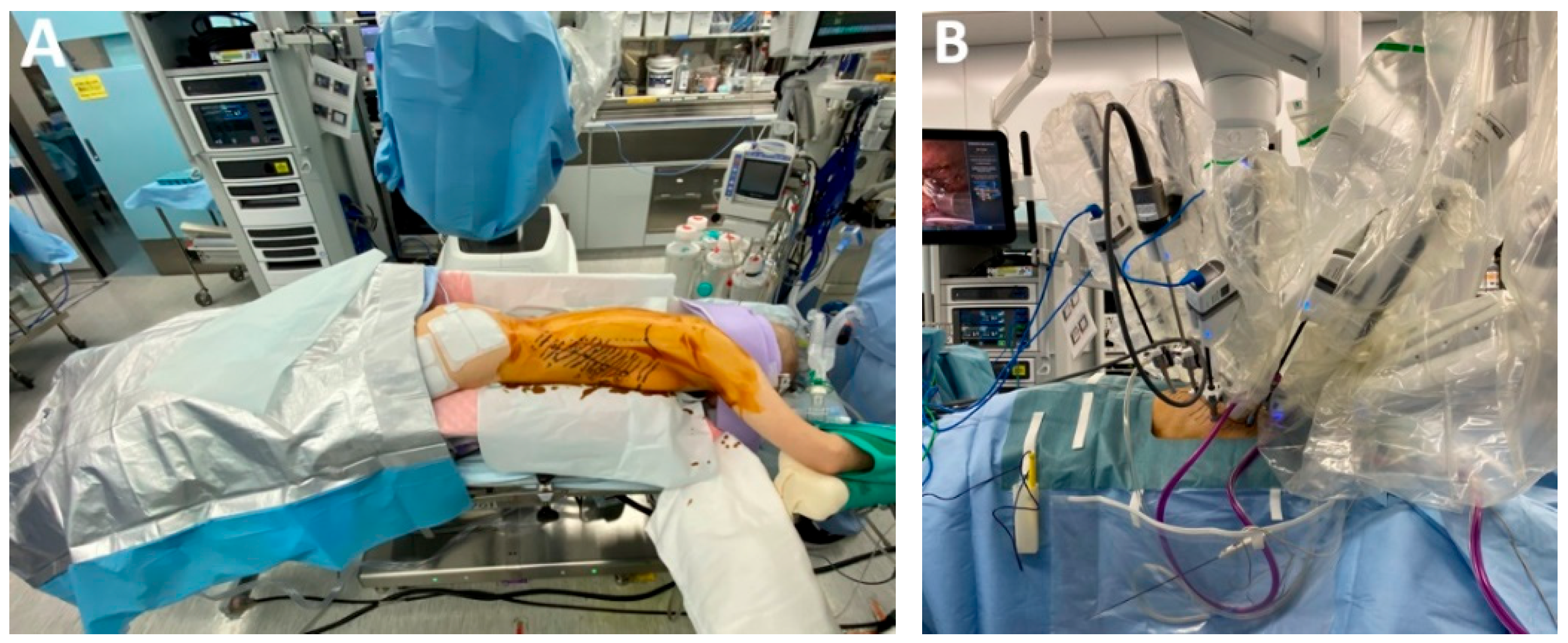 Medicina 61 02176 g010a Medicina 61 02176 g010a