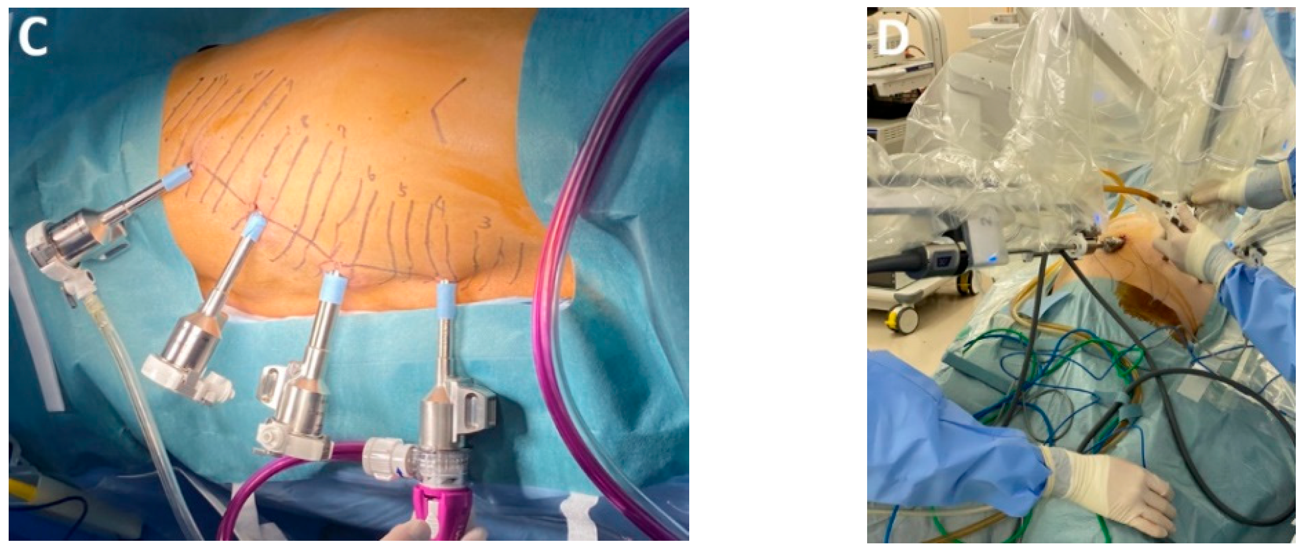 Medicina 61 02176 g010b Medicina 61 02176 g010b