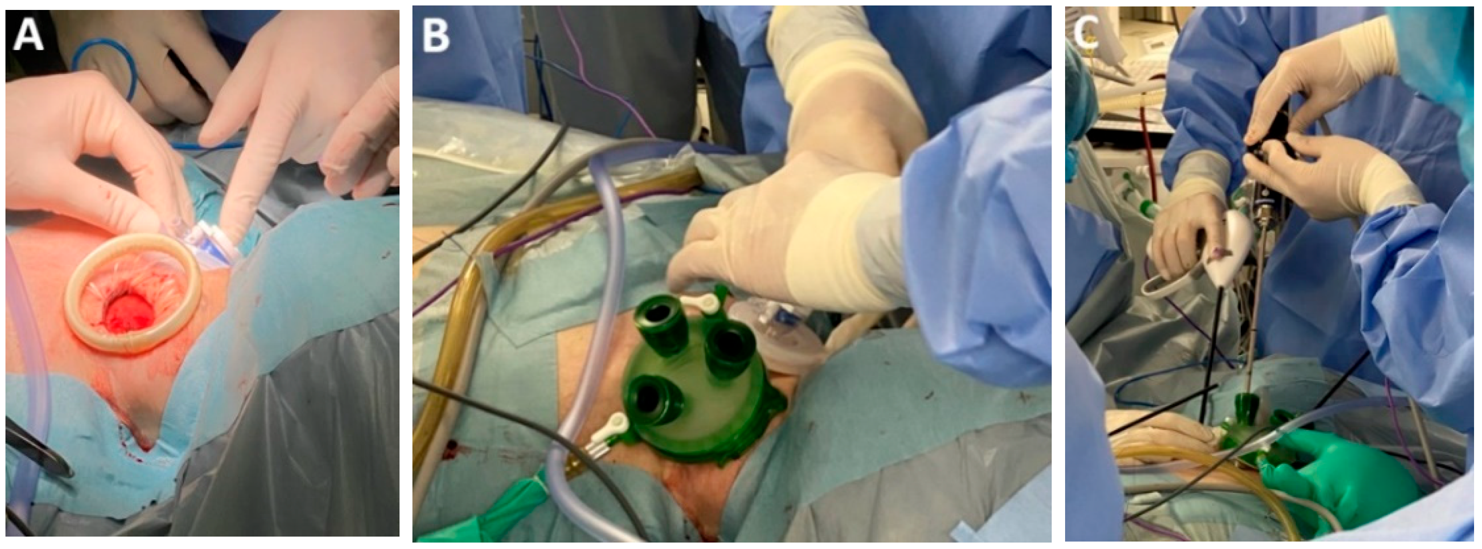 Medicina 61 02176 g011a Medicina 61 02176 g011a