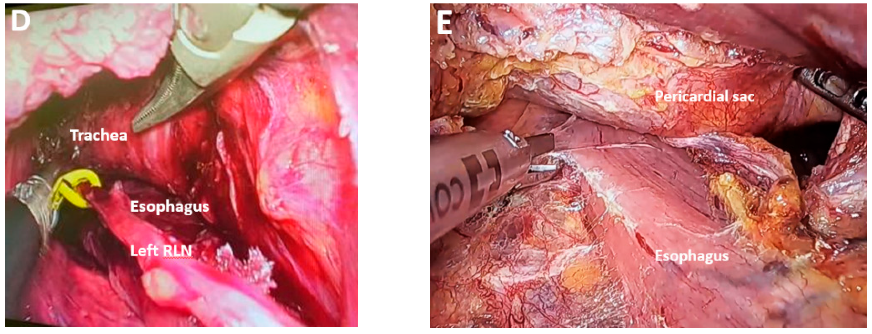 Medicina 61 02176 g011b Medicina 61 02176 g011b