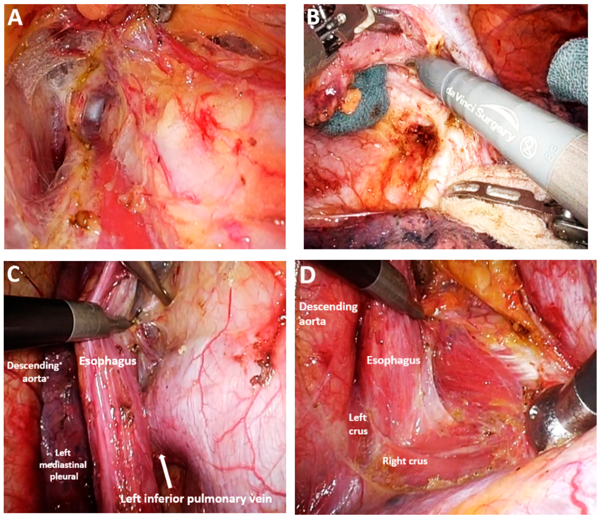 Medicina 61 02176 g012 Medicina 61 02176 g012