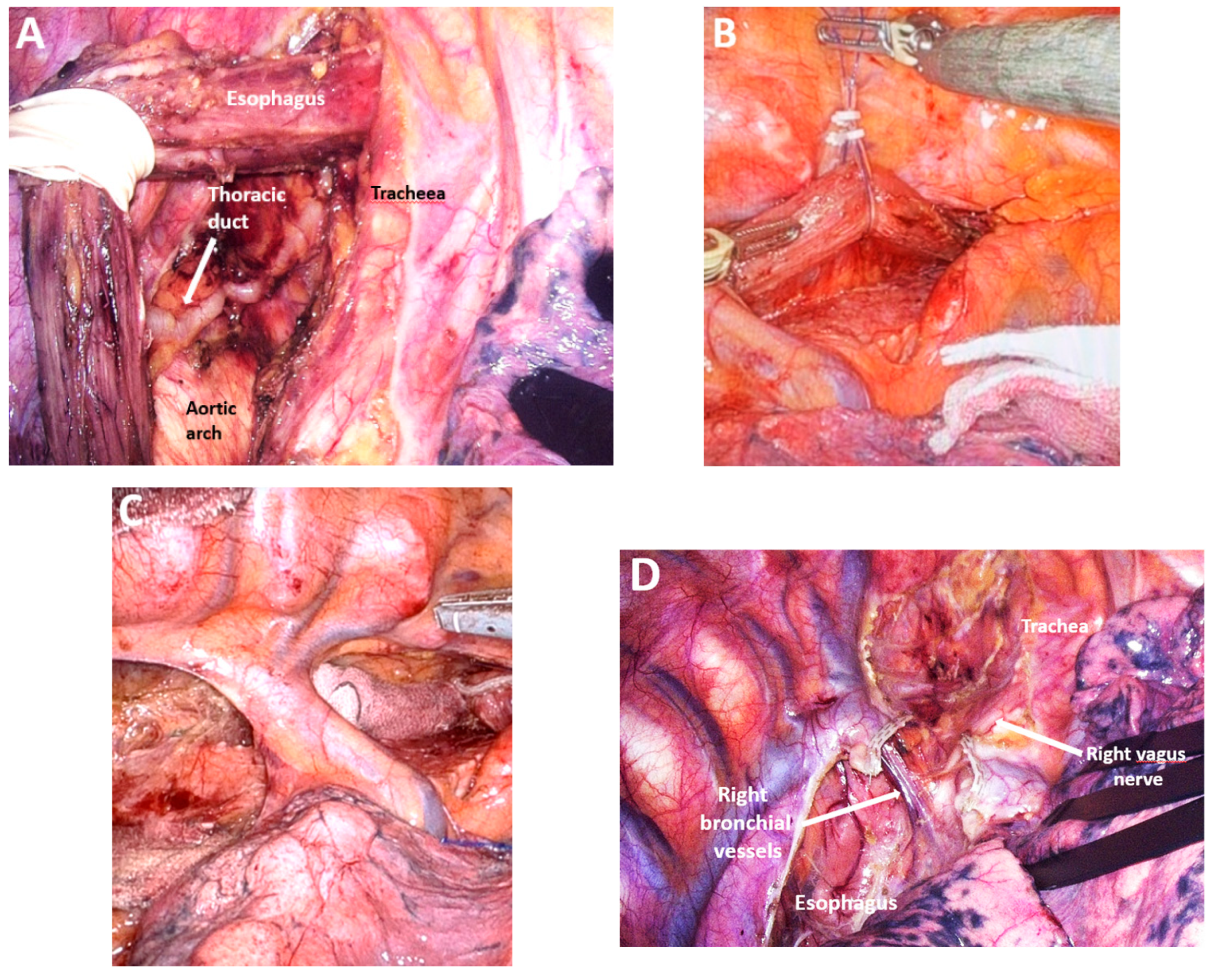 Medicina 61 02176 g013 Medicina 61 02176 g013