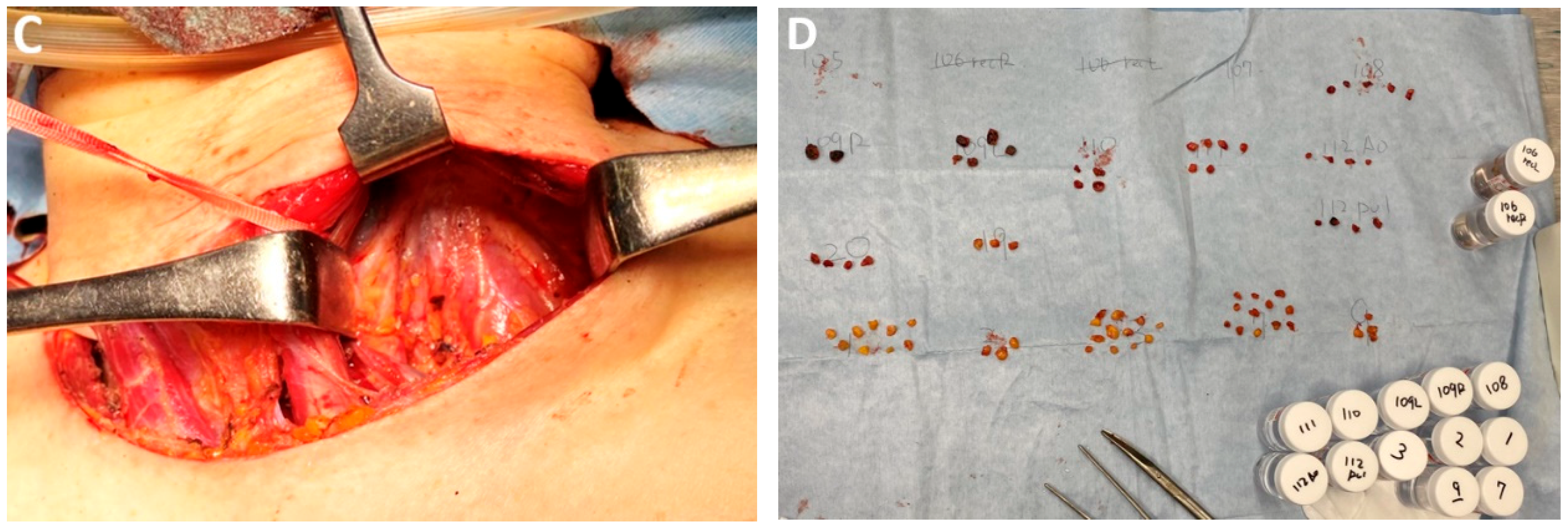 Medicina 61 02176 g015b Medicina 61 02176 g015b