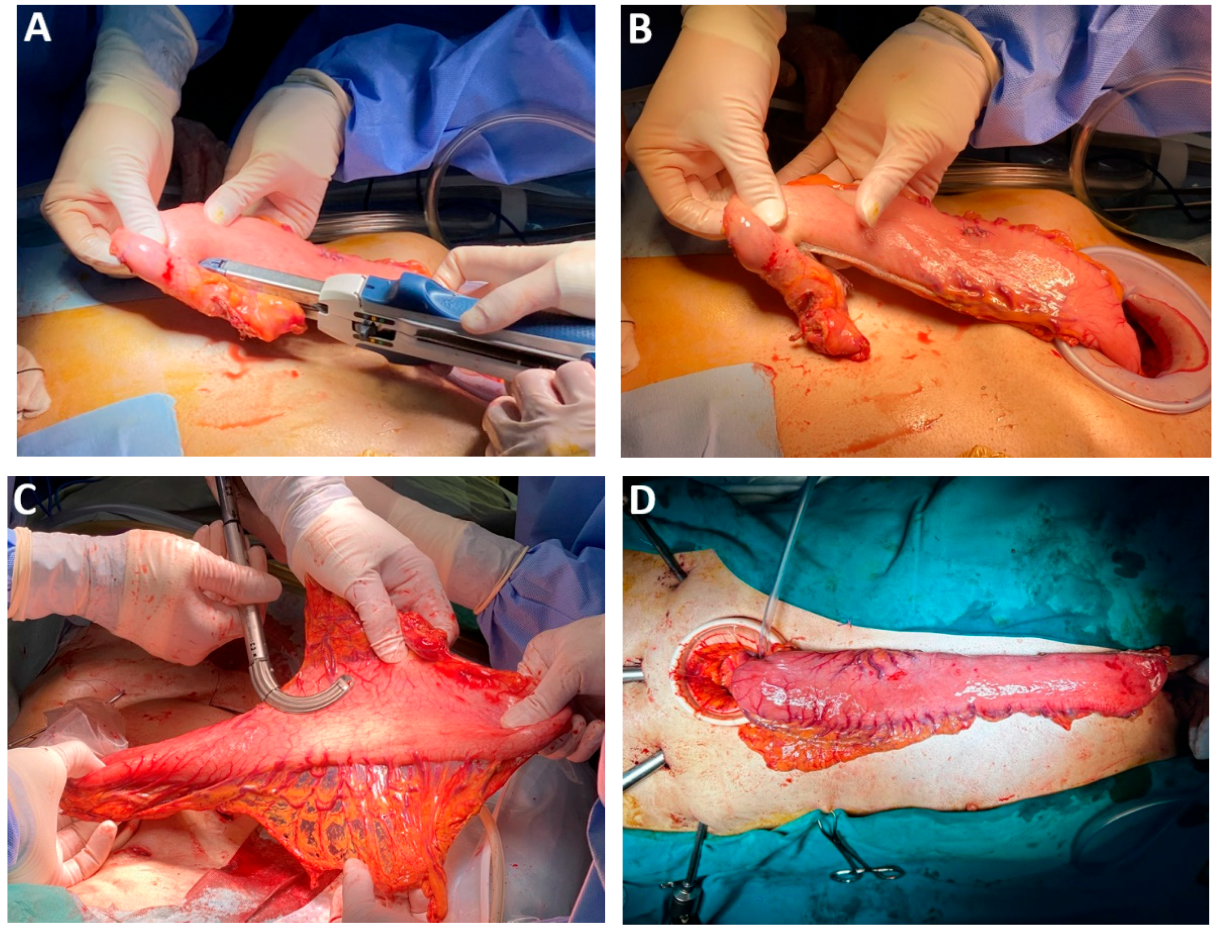 Medicina 61 02176 g016 Medicina 61 02176 g016