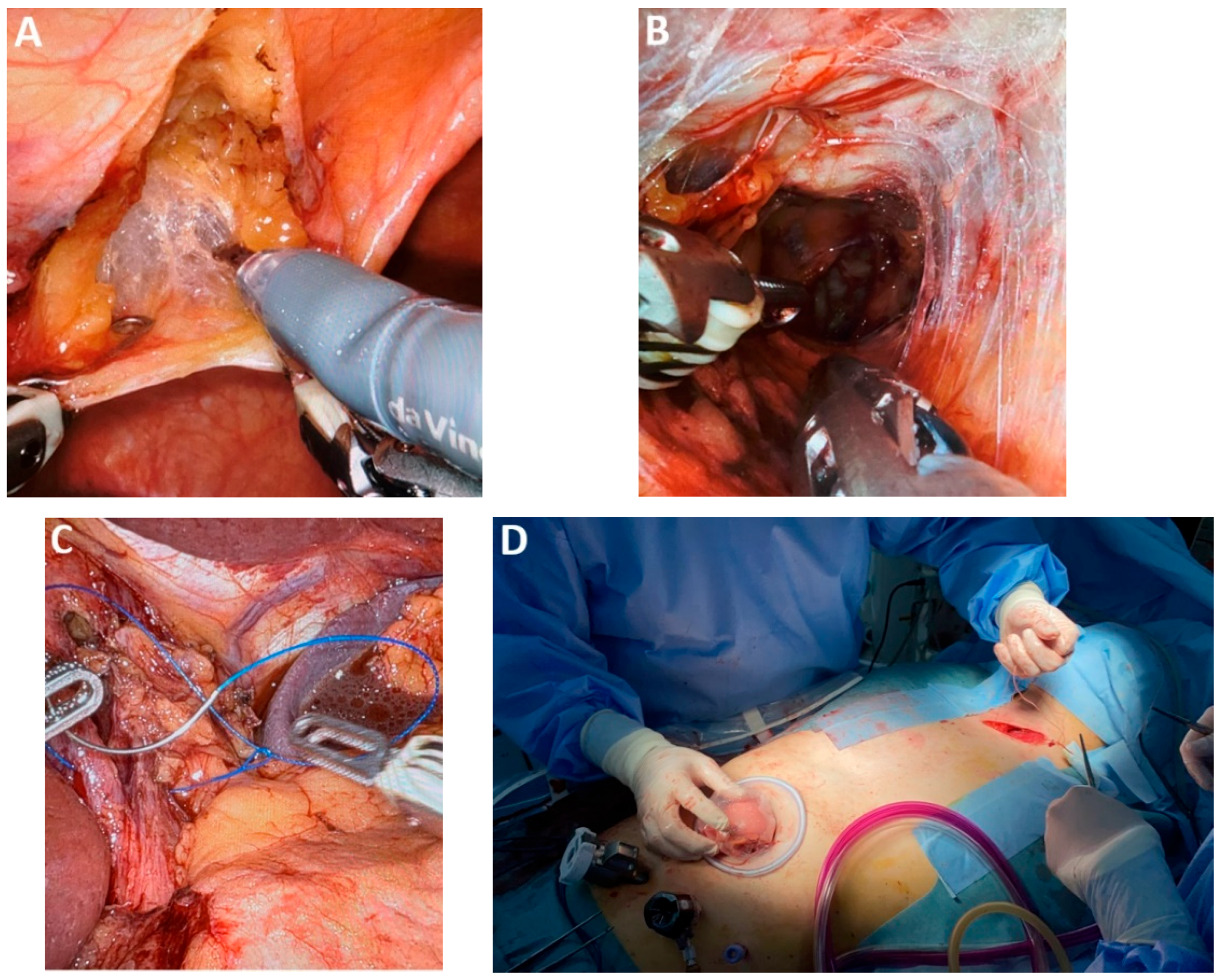 Medicina 61 02176 g017 Medicina 61 02176 g017
