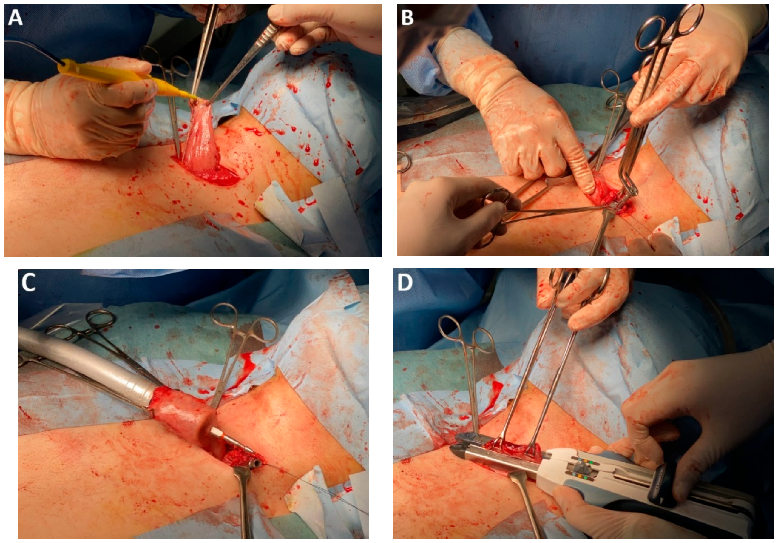 Medicina 61 02176 g018 Medicina 61 02176 g018