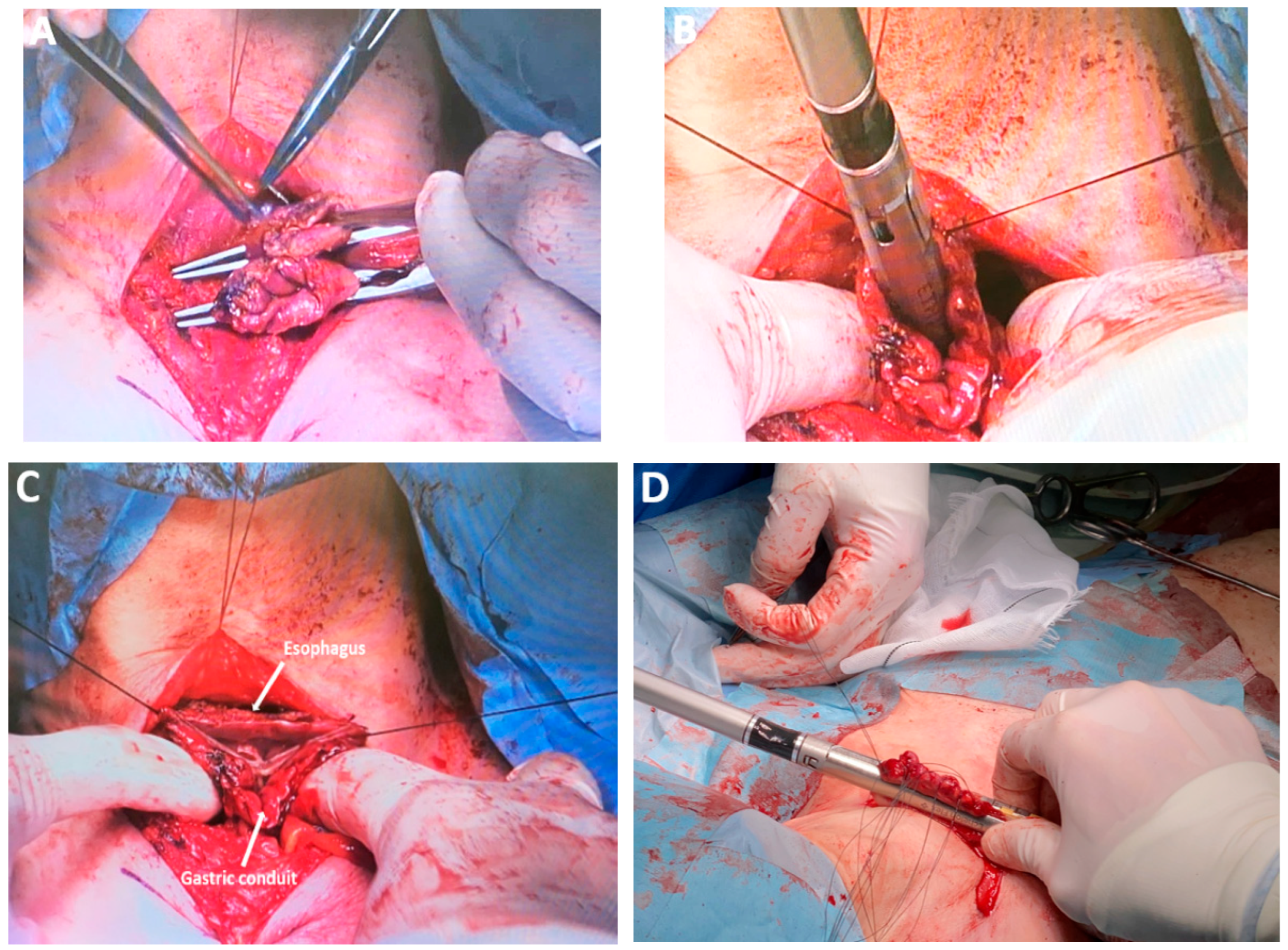 Medicina 61 02176 g019 Medicina 61 02176 g019