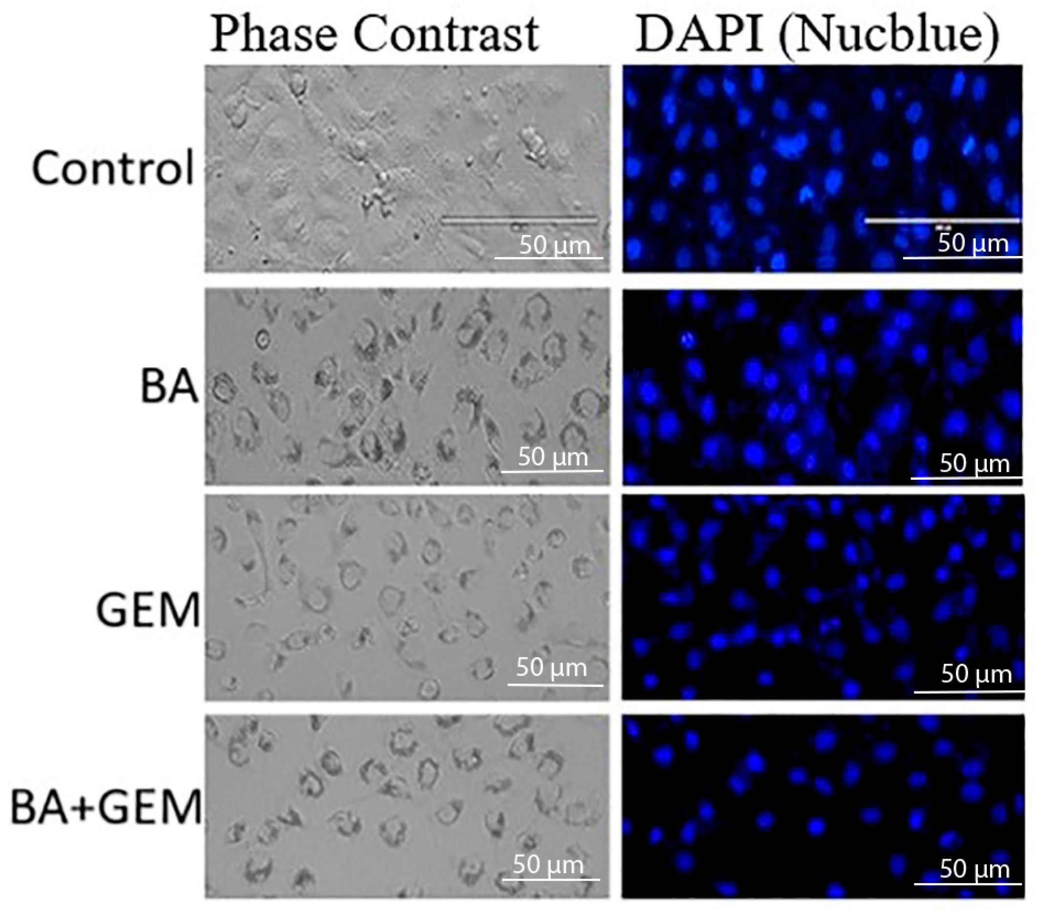 Medicina 61 02181 g002