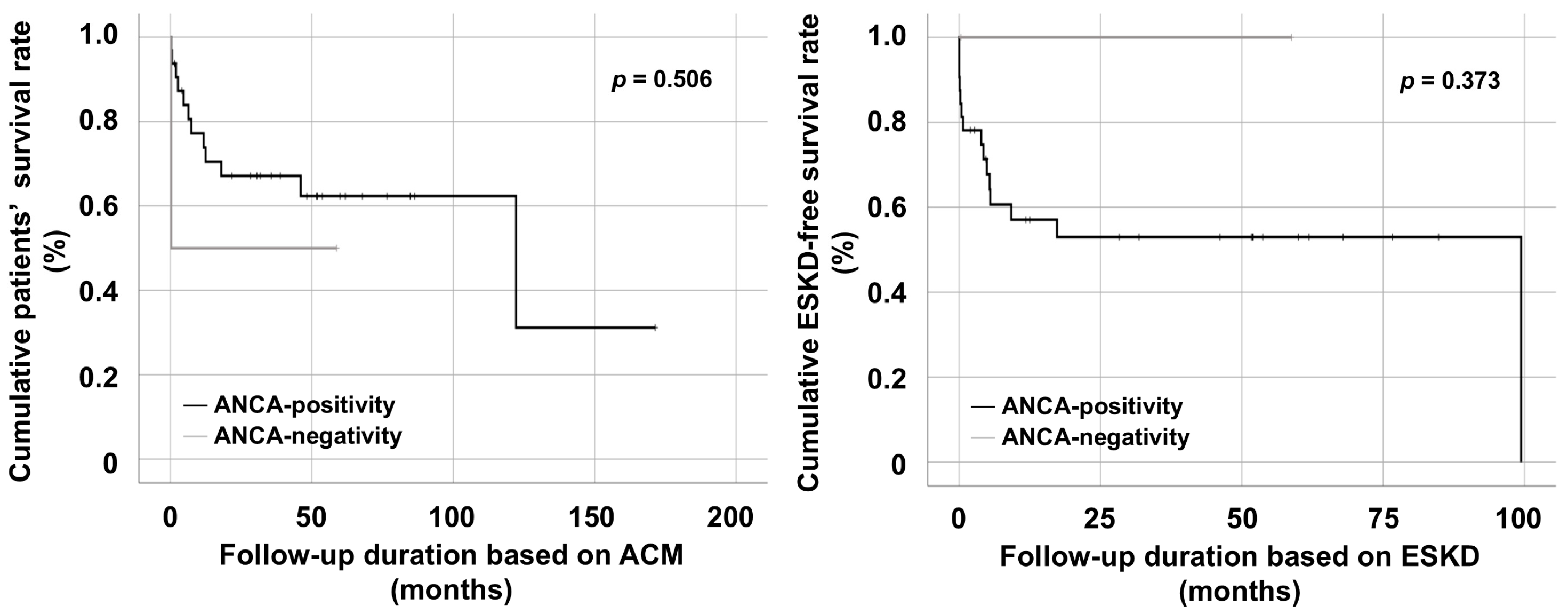Medicina 61 02184 g002 Medicina 61 02184 g002