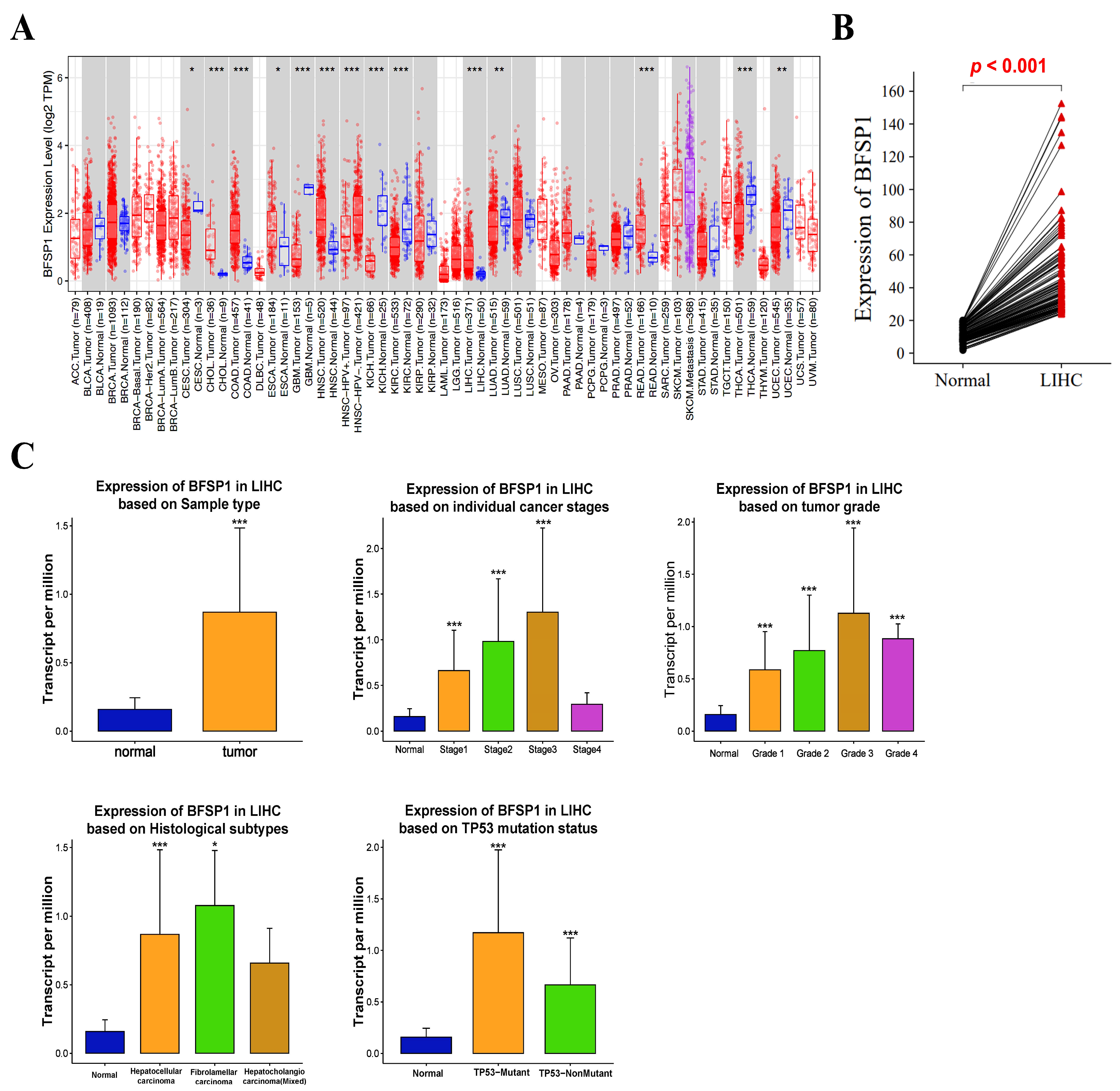 Medicina 61 02196 g001 Medicina 61 02196 g001