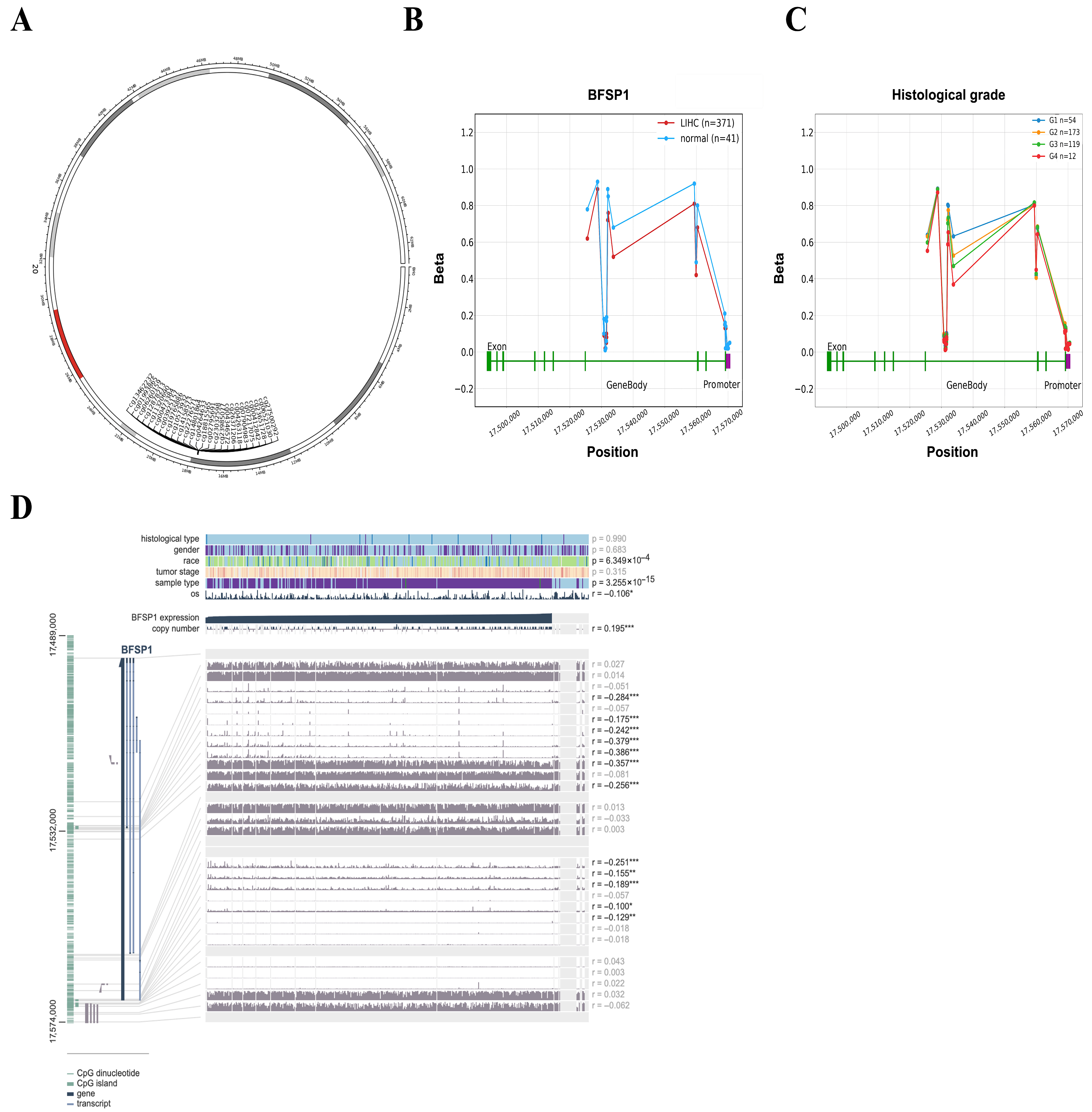 Medicina 61 02196 g004 Medicina 61 02196 g004