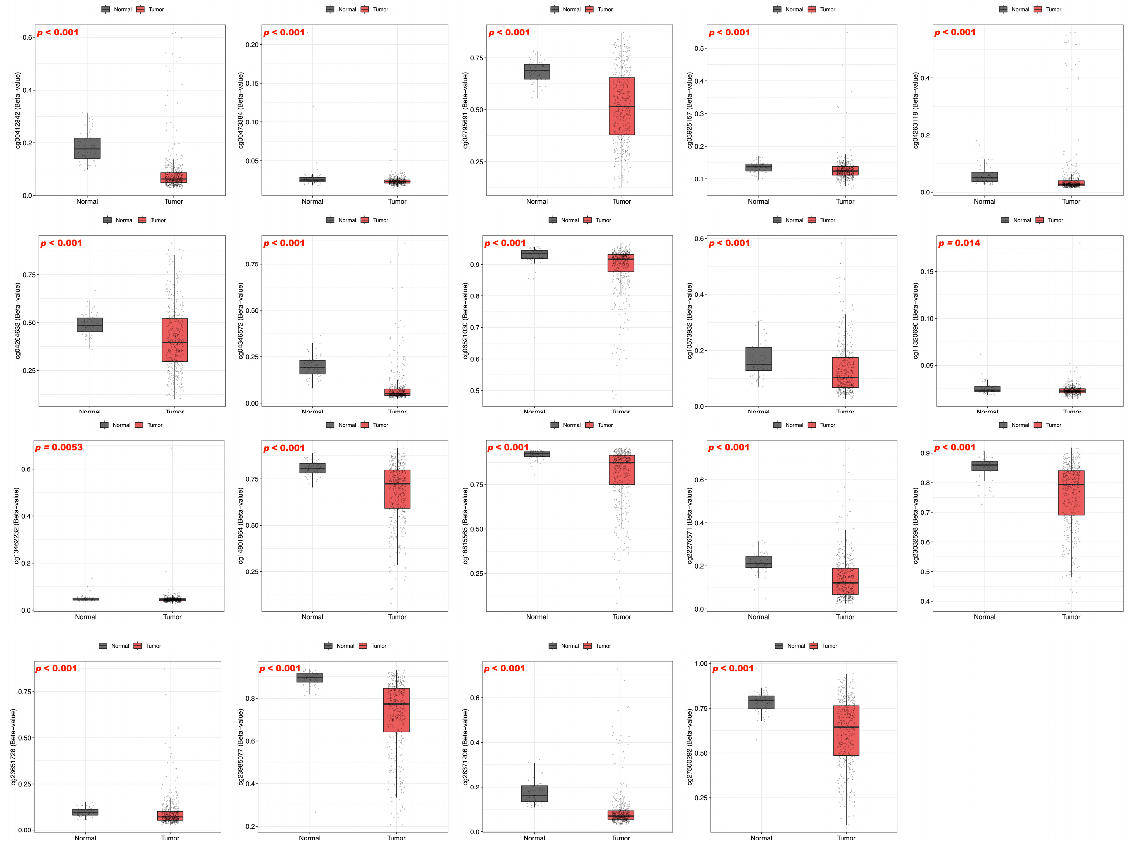 Medicina 61 02196 g005 Medicina 61 02196 g005