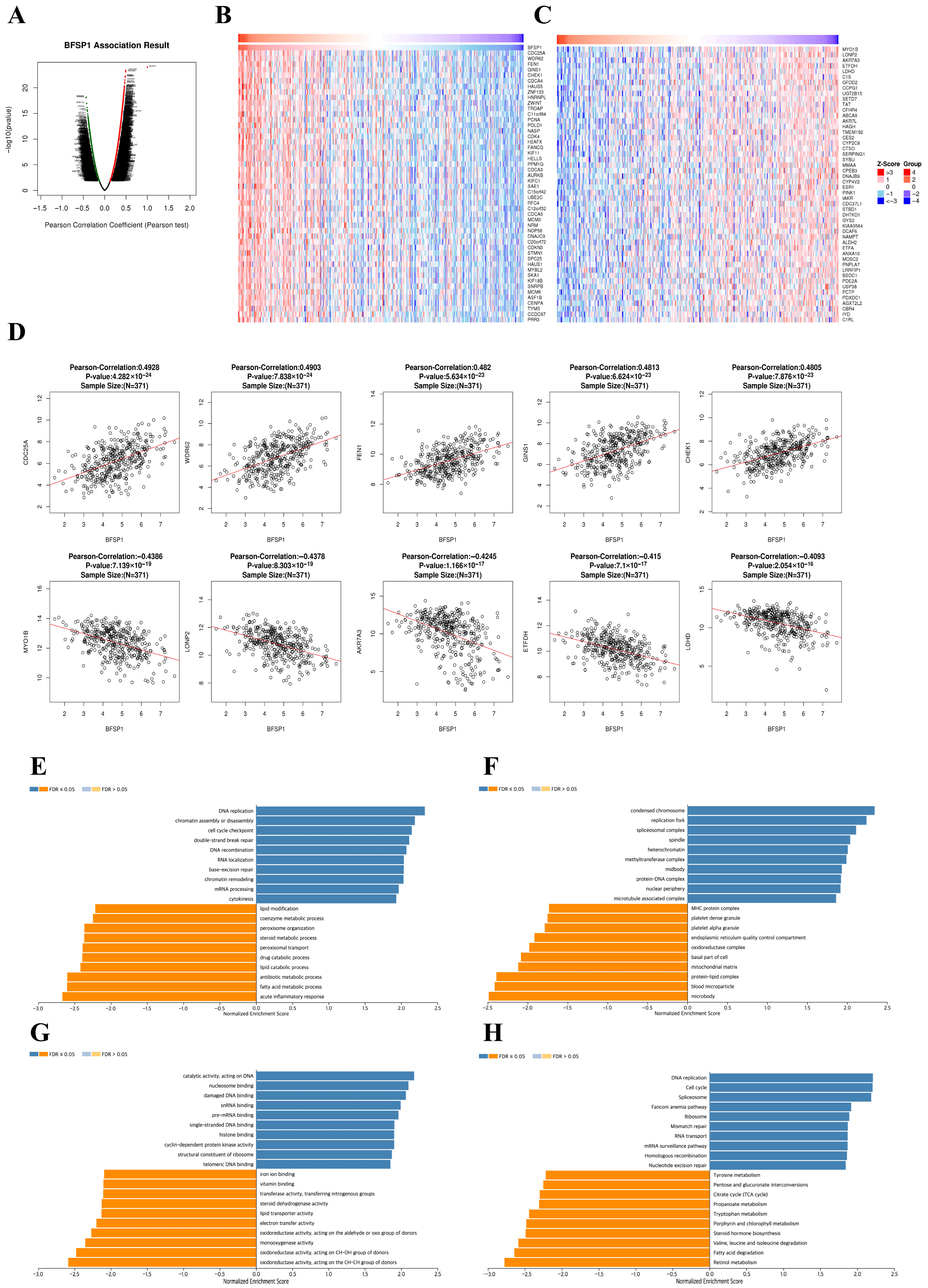 Medicina 61 02196 g012 Medicina 61 02196 g012