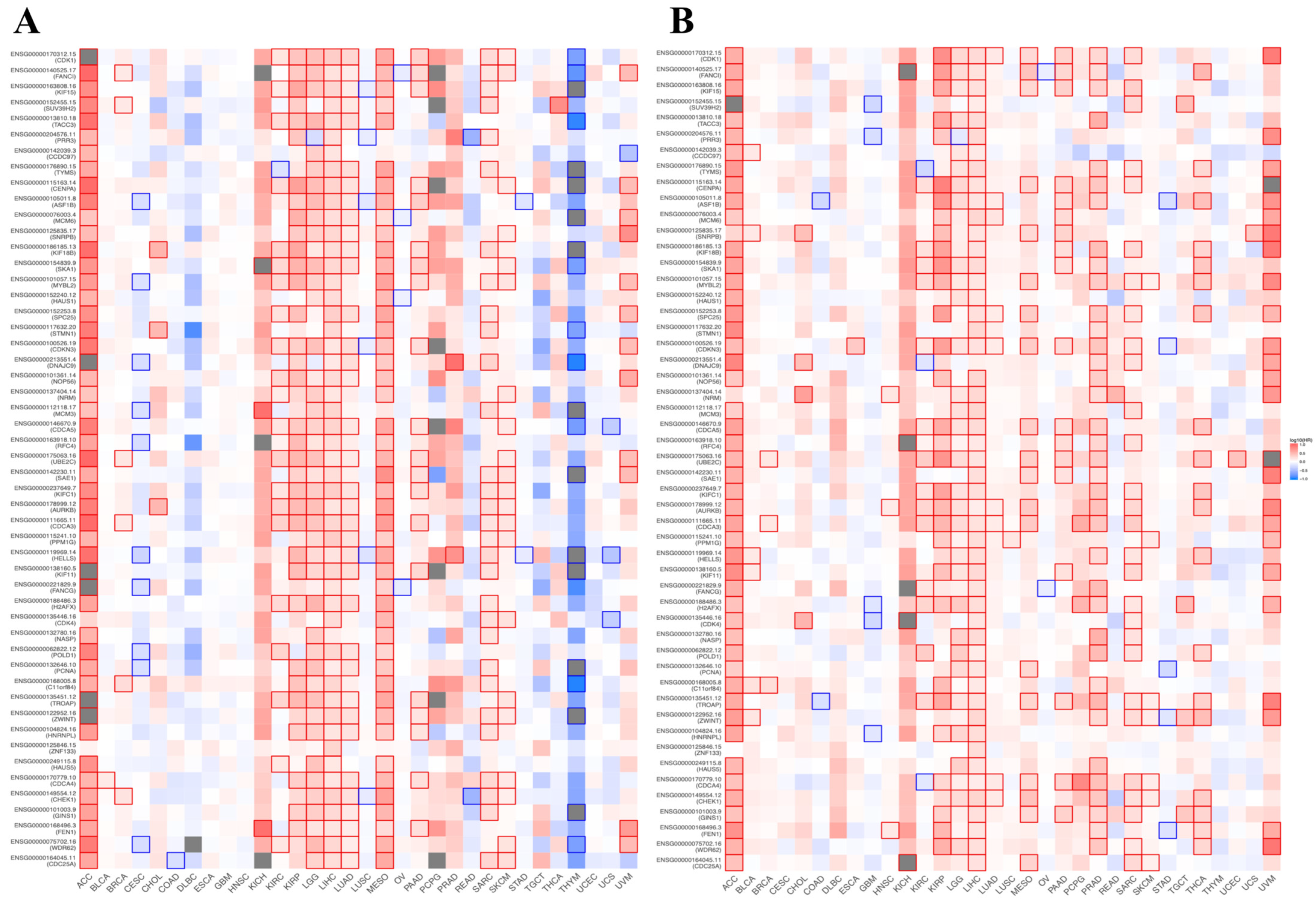 Medicina 61 02196 g014a Medicina 61 02196 g014a