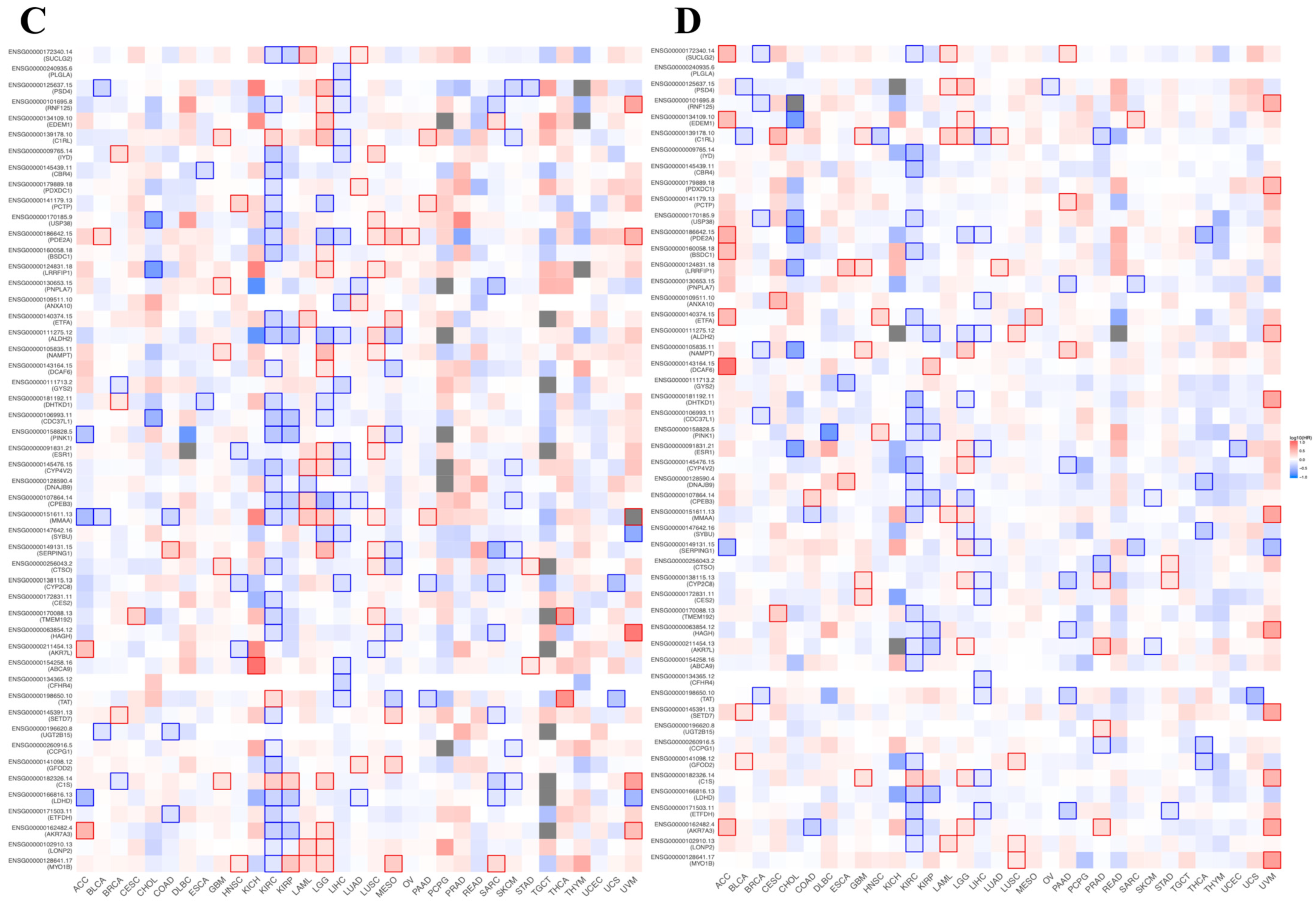Medicina 61 02196 g014b Medicina 61 02196 g014b