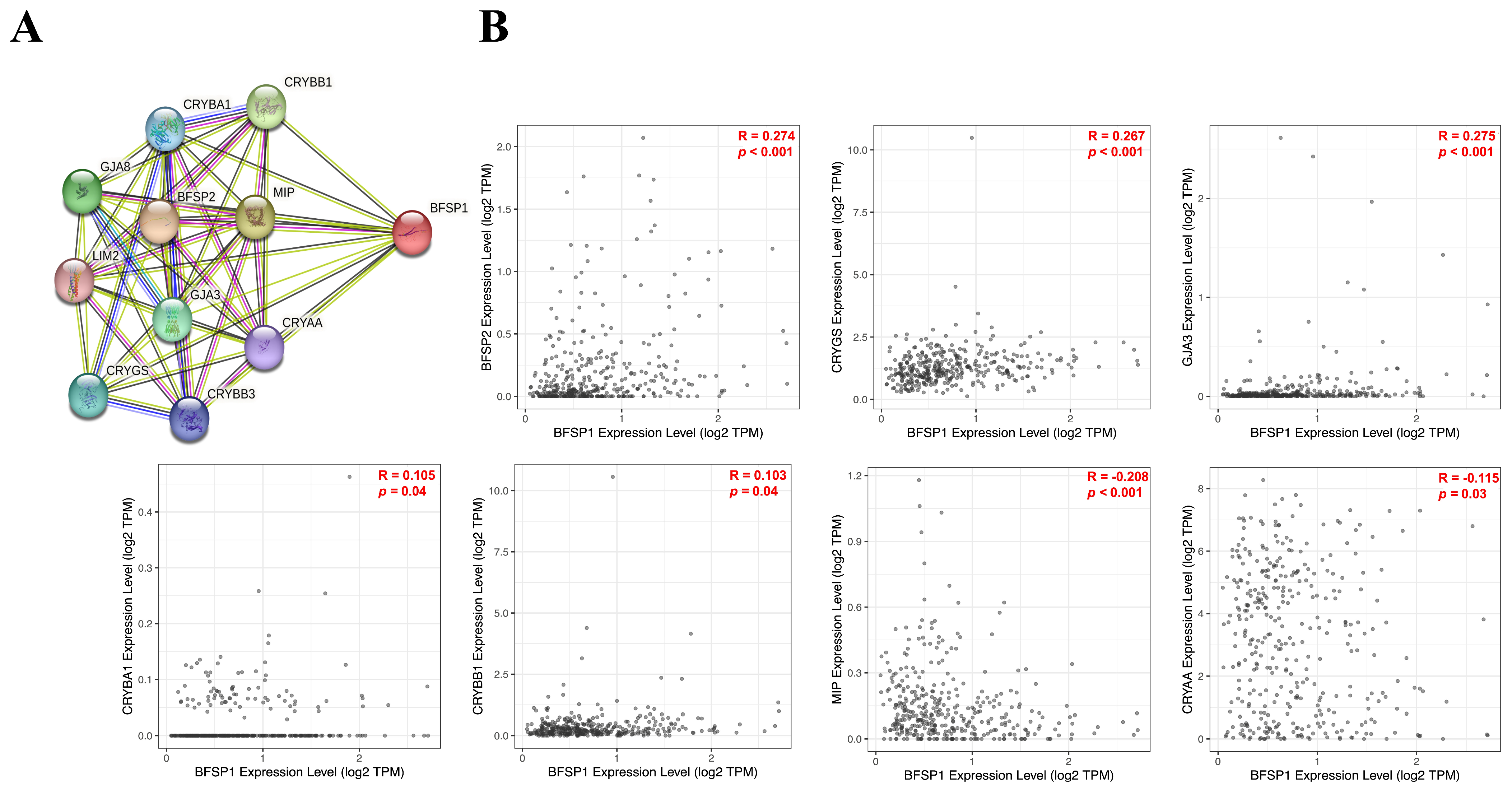 Medicina 61 02196 g016a Medicina 61 02196 g016a
