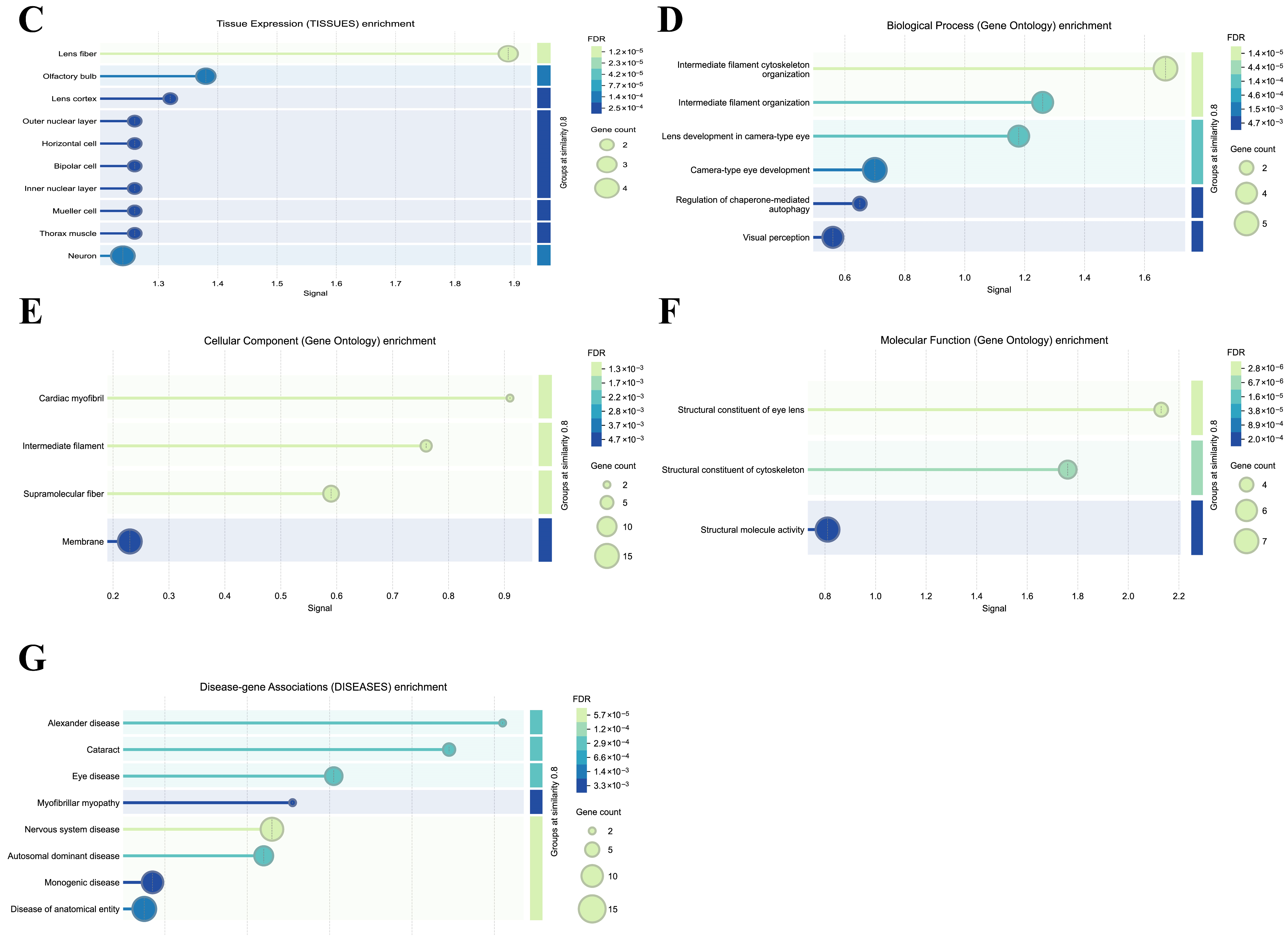 Medicina 61 02196 g016b Medicina 61 02196 g016b