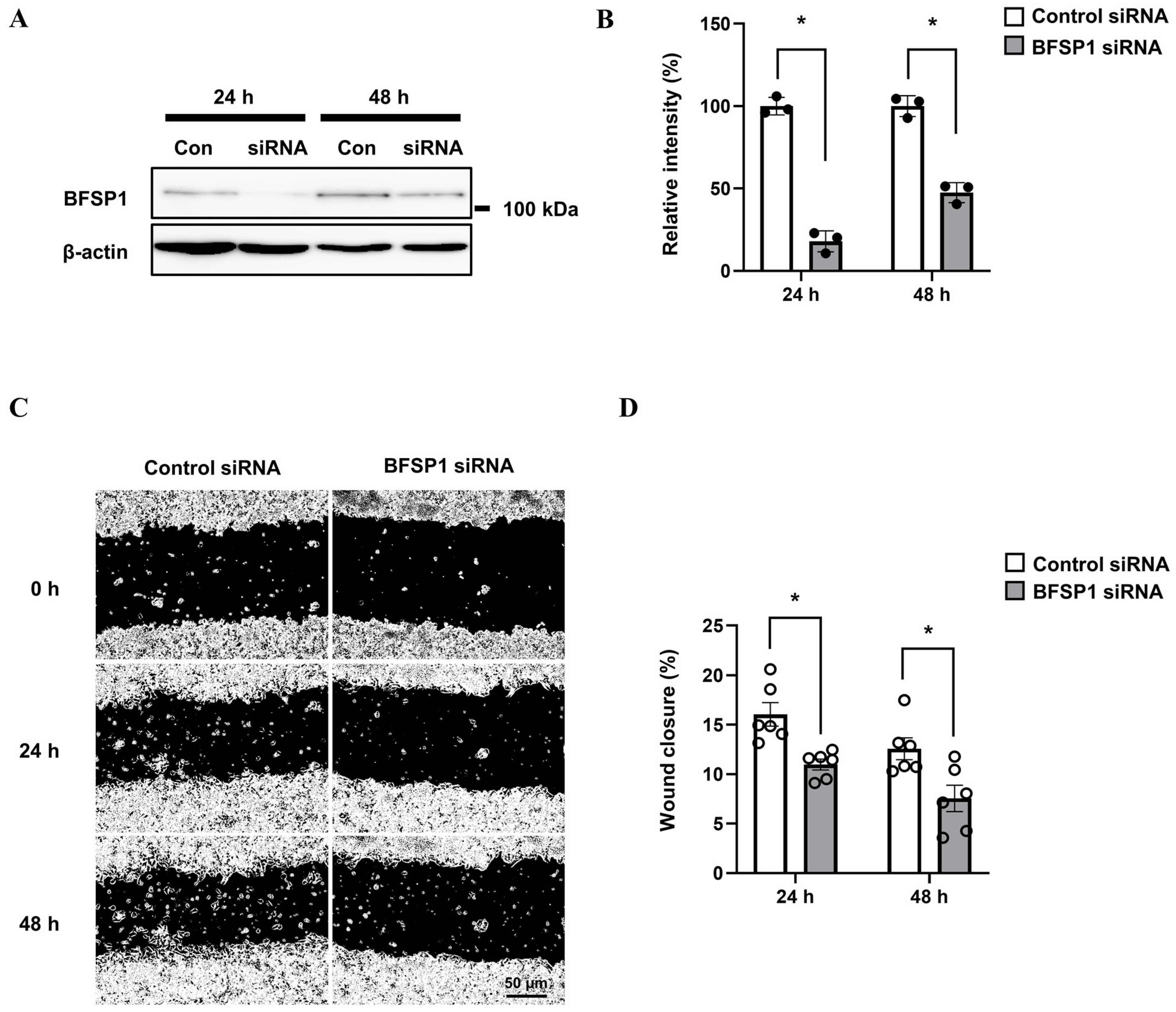 Medicina 61 02196 g017 Medicina 61 02196 g017