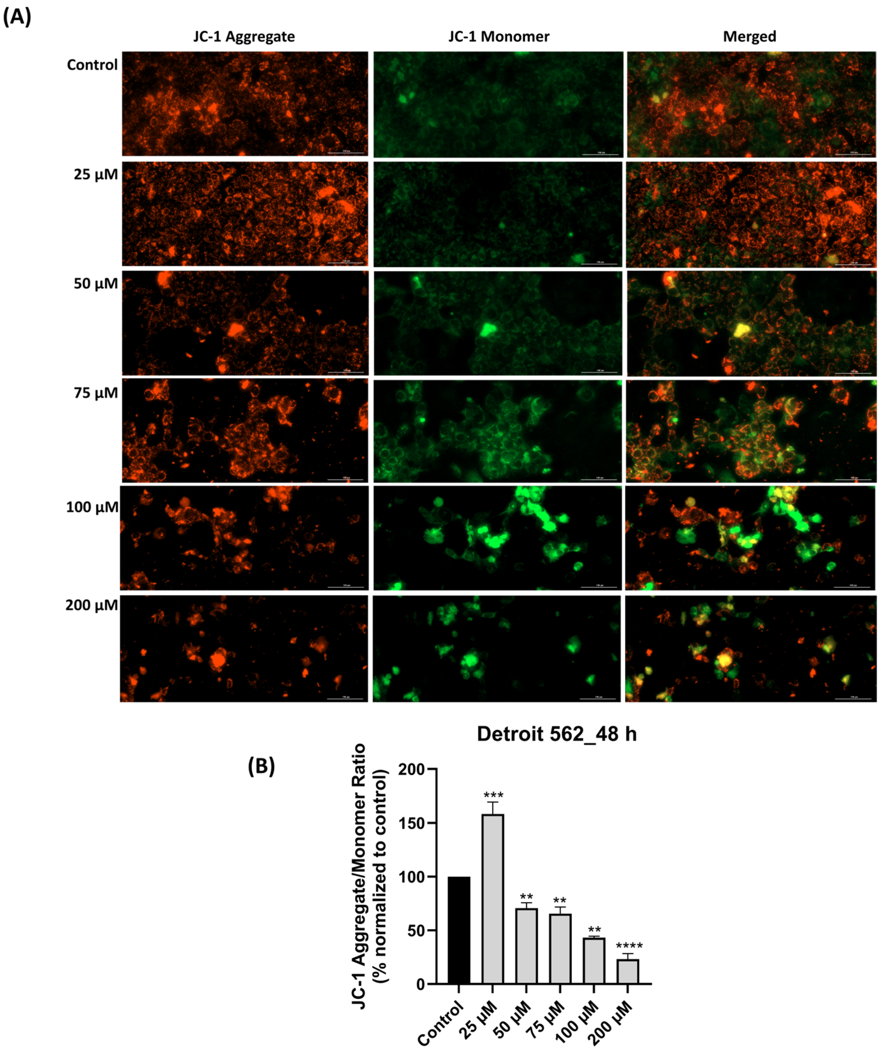 Medicina 61 02197 g004 Medicina 61 02197 g004