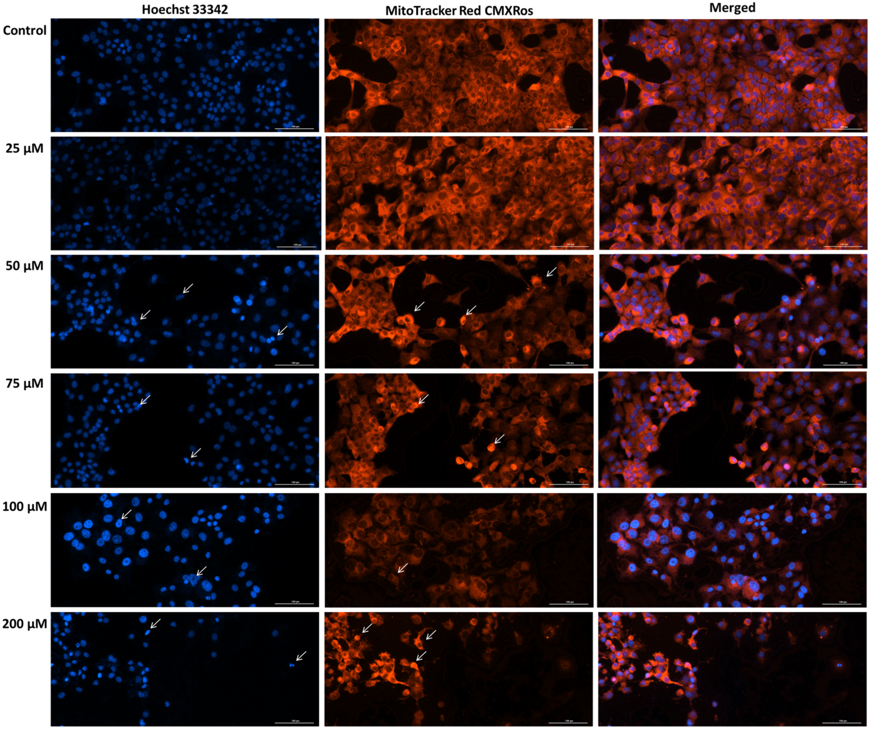 Medicina 61 02197 g005 Medicina 61 02197 g005