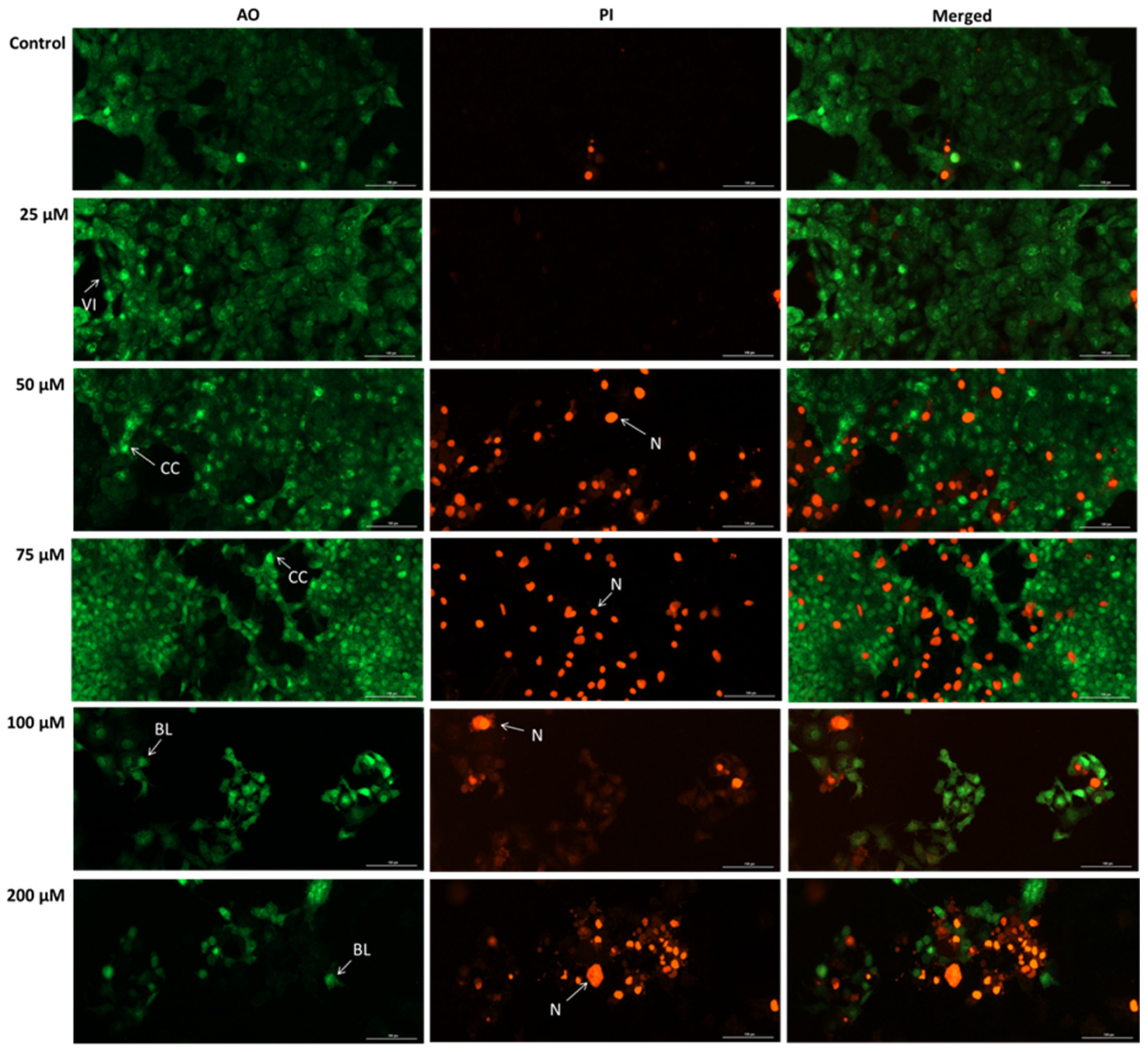 Medicina 61 02197 g007 Medicina 61 02197 g007