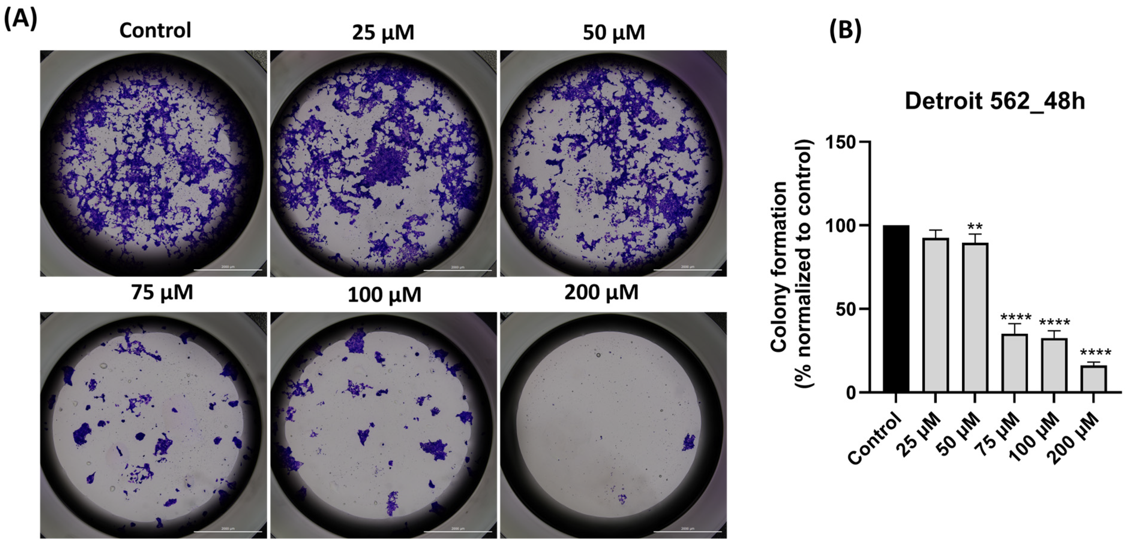 Medicina 61 02197 g008 Medicina 61 02197 g008