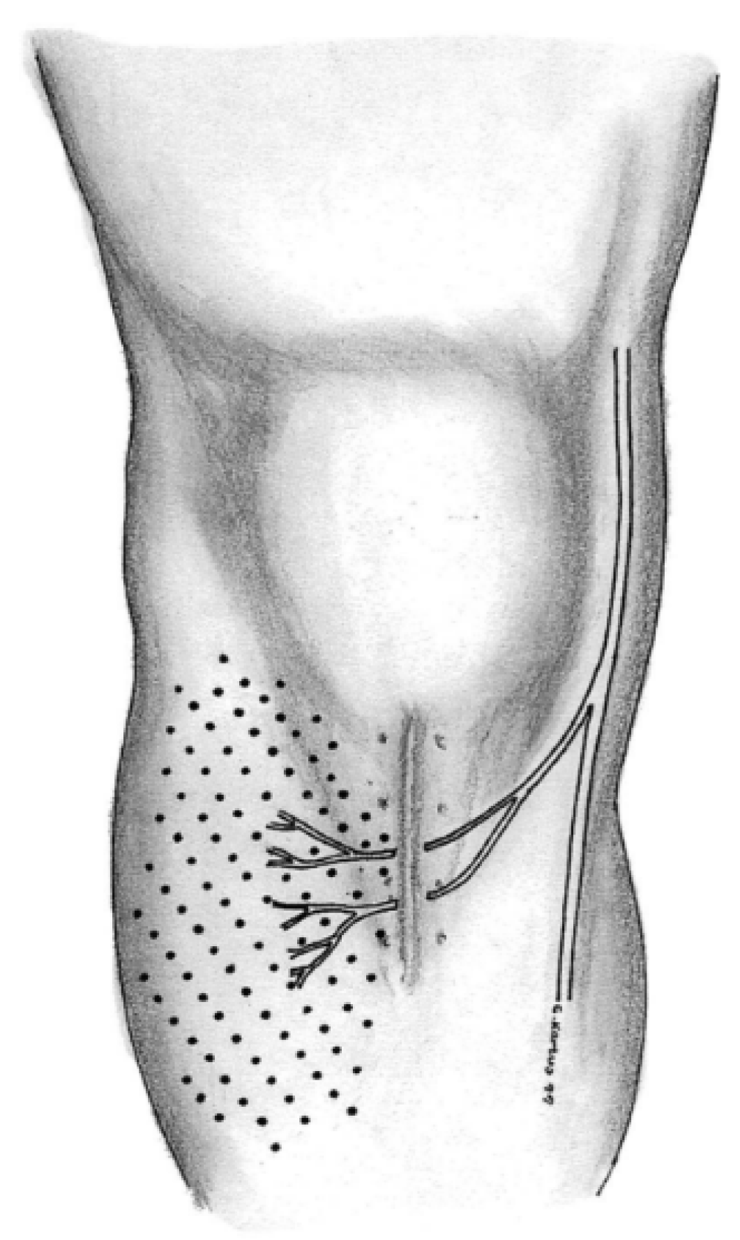 Medicina 61 02202 g001 Medicina 61 02202 g001