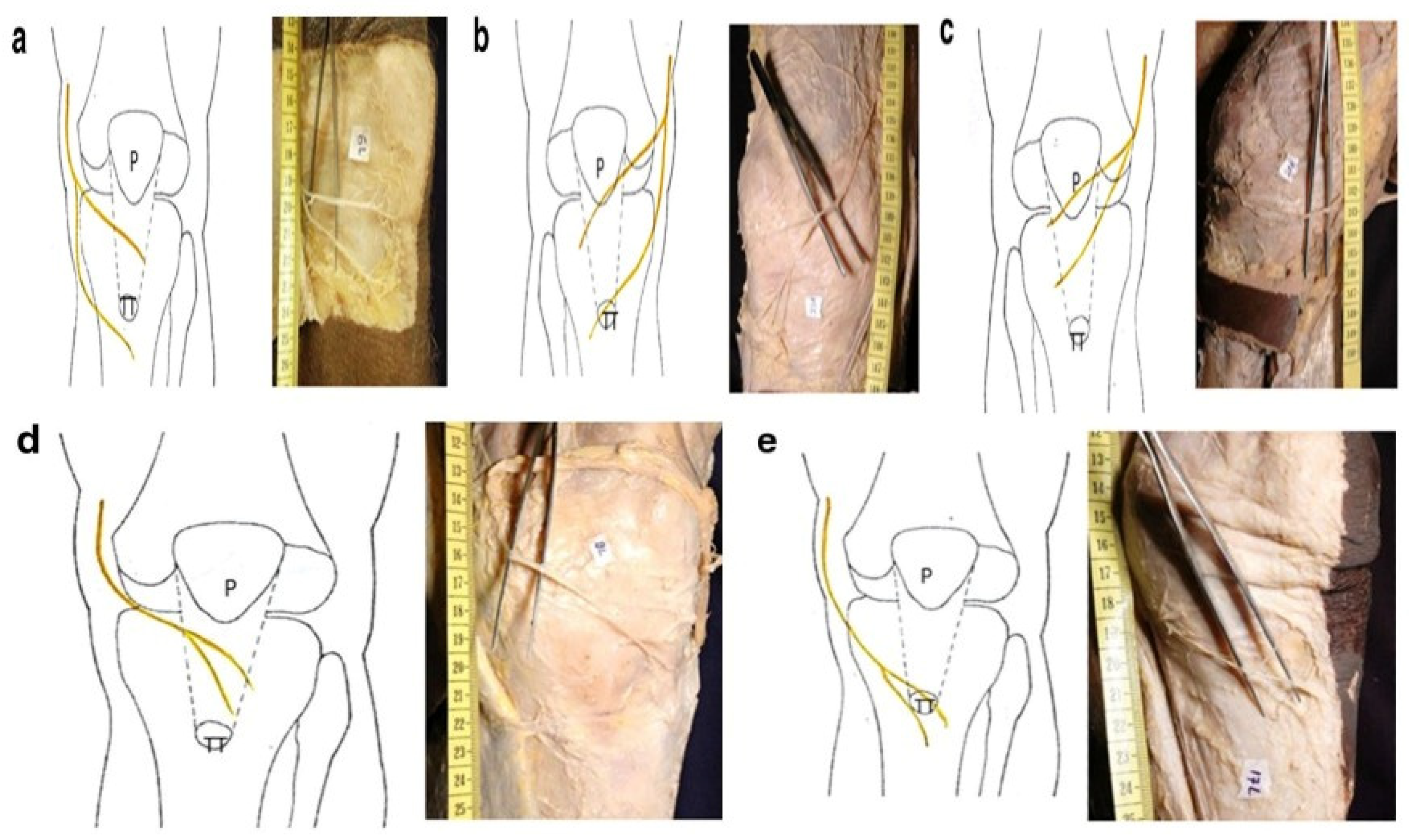 Medicina 61 02202 g003 Medicina 61 02202 g003