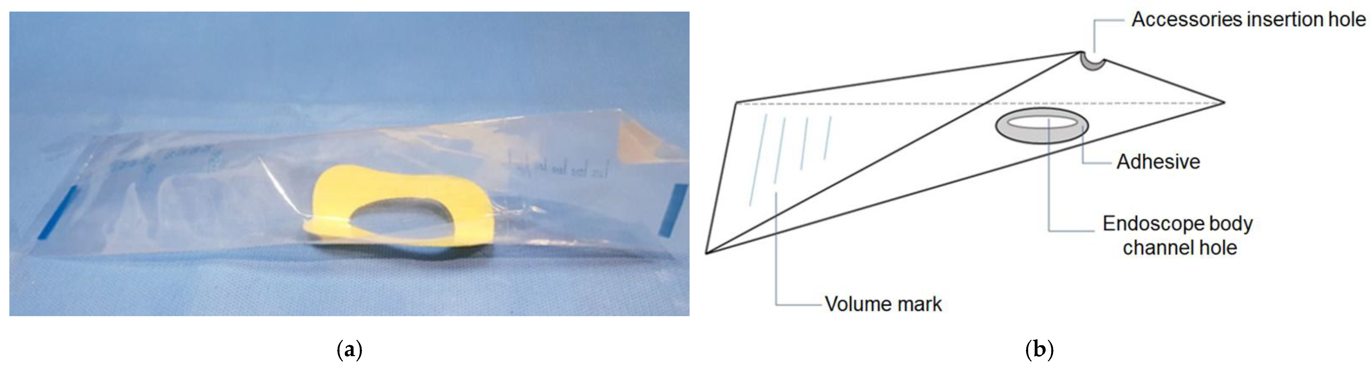 Medicina 61 02203 g001 Medicina 61 02203 g001