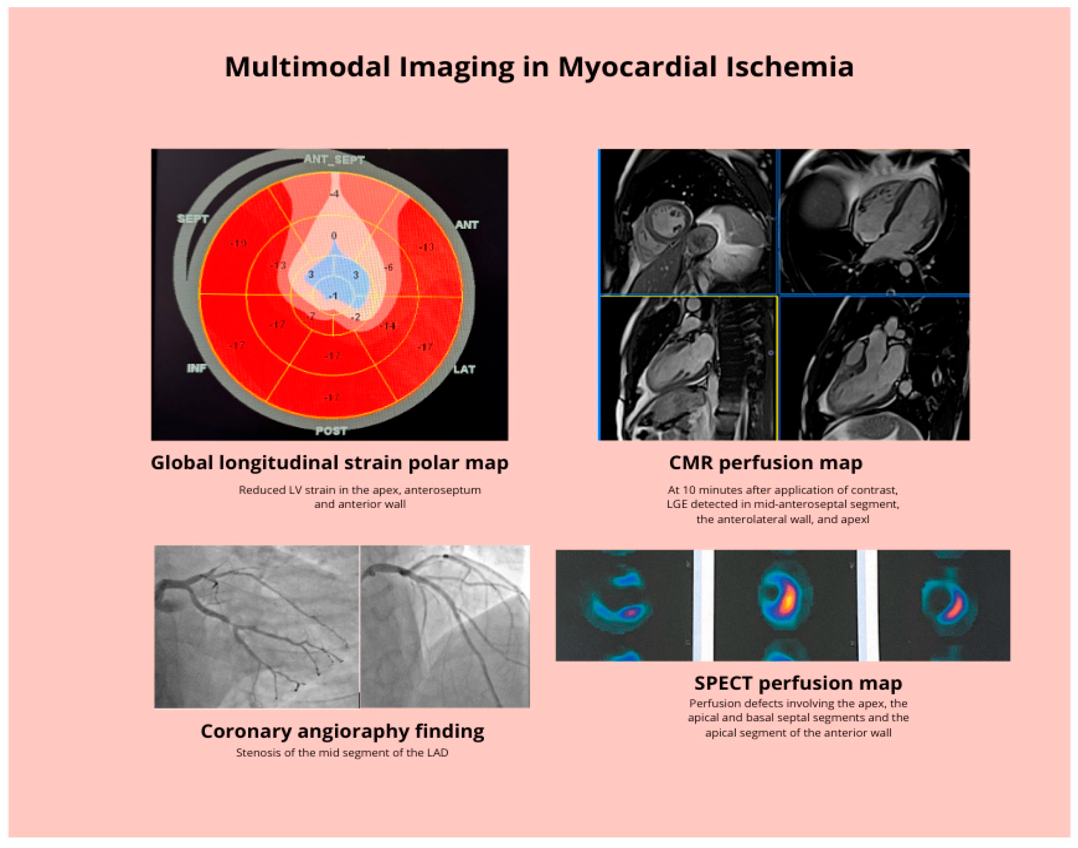 Medicina 61 02212 g001 Medicina 61 02212 g001