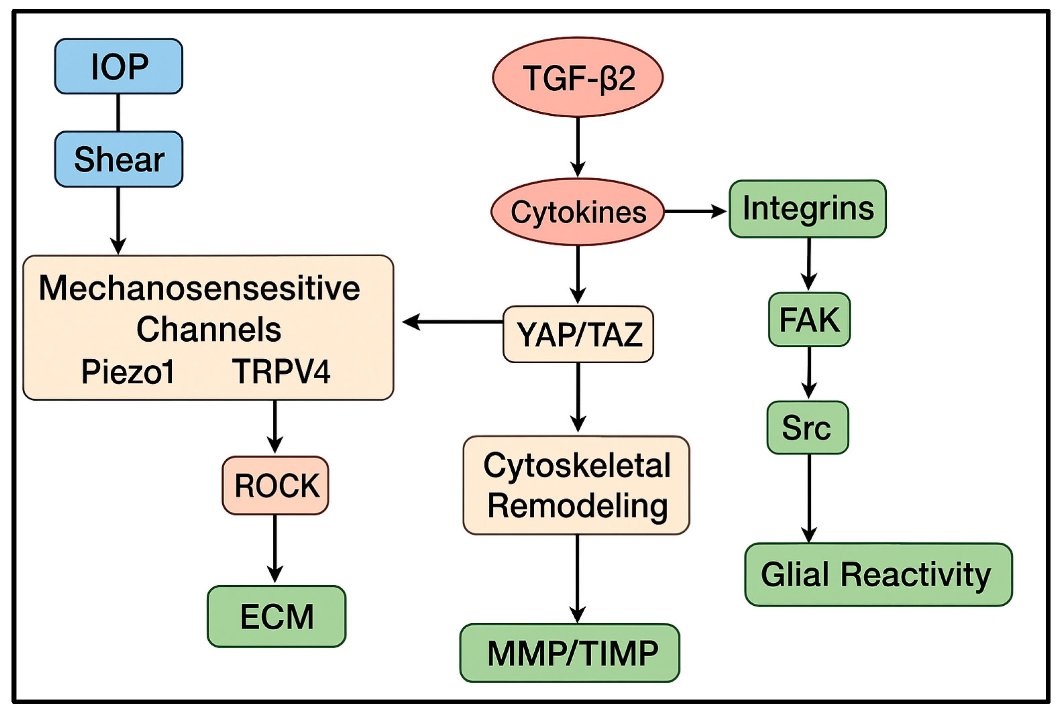 Medicina 61 02219 g002