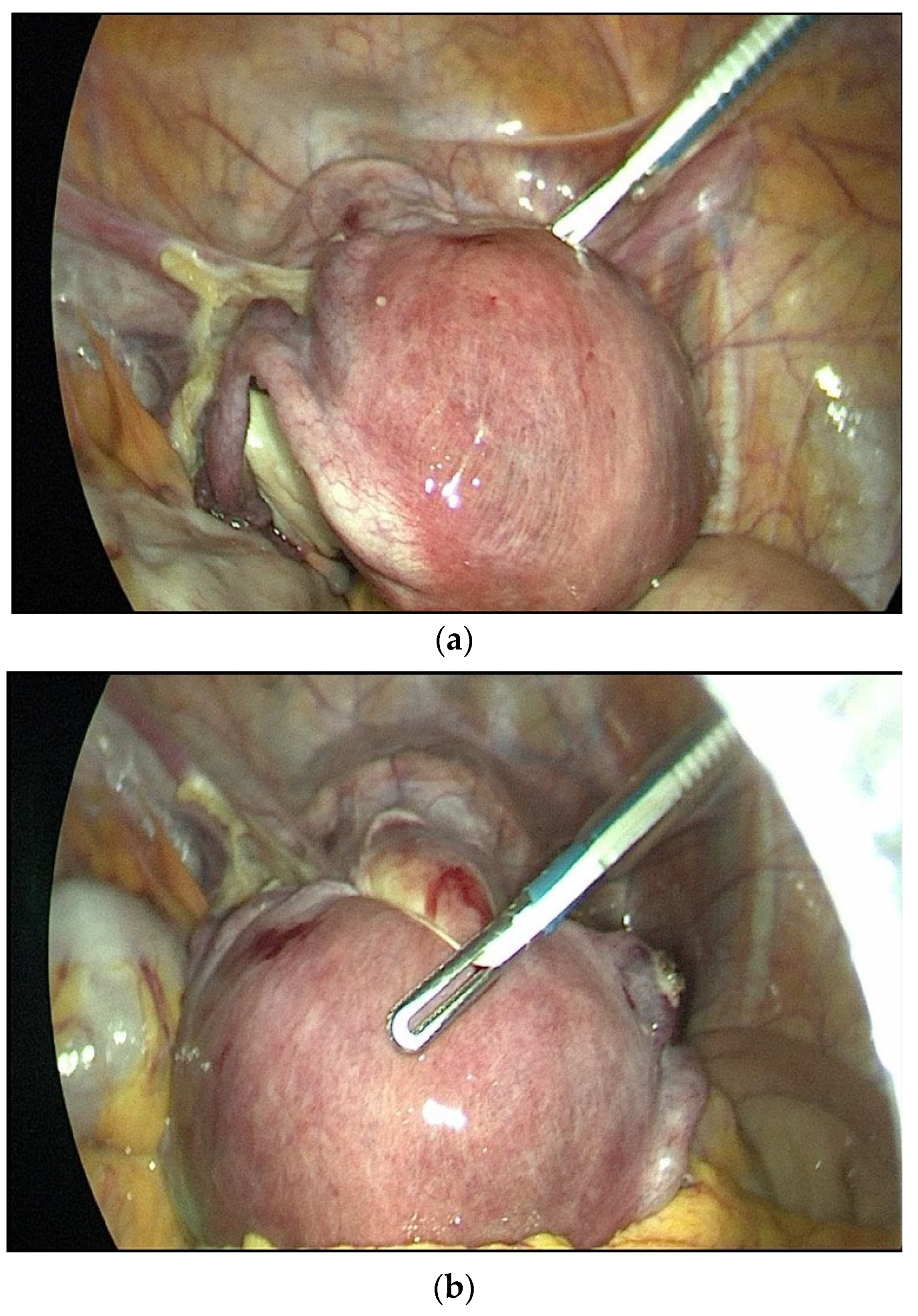 Medicina 61 02220 g001a