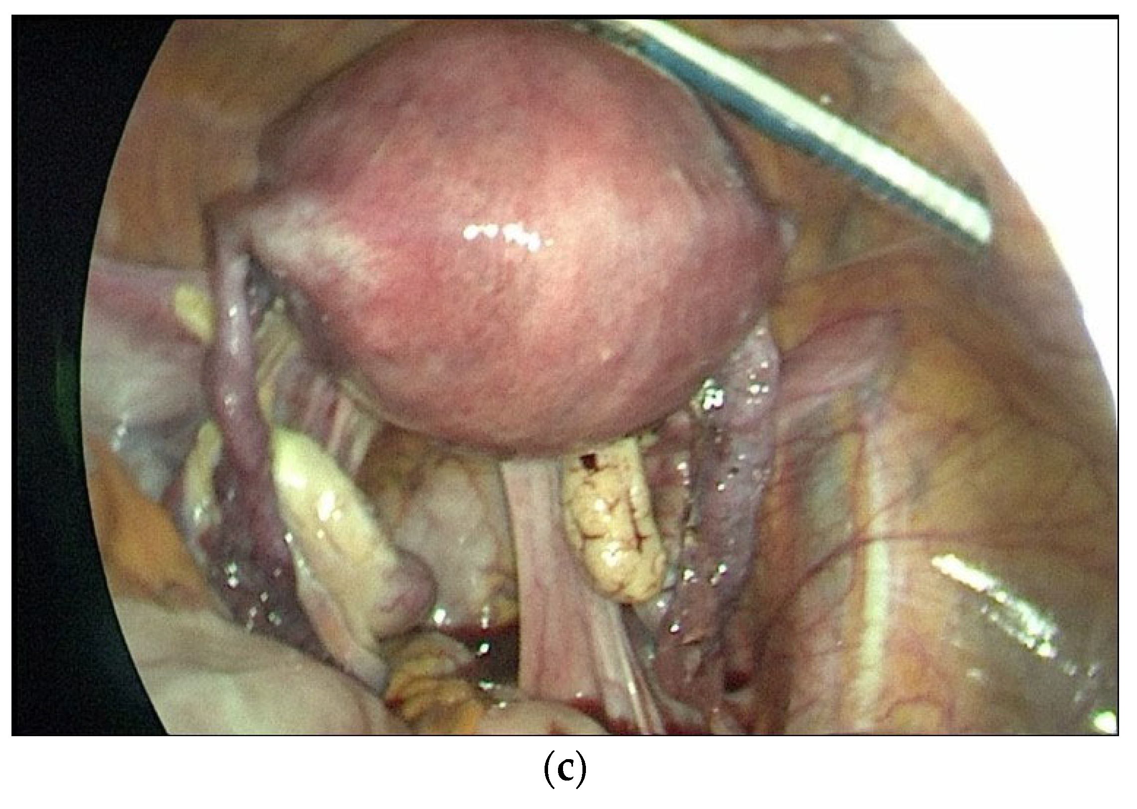 Medicina 61 02220 g001b
