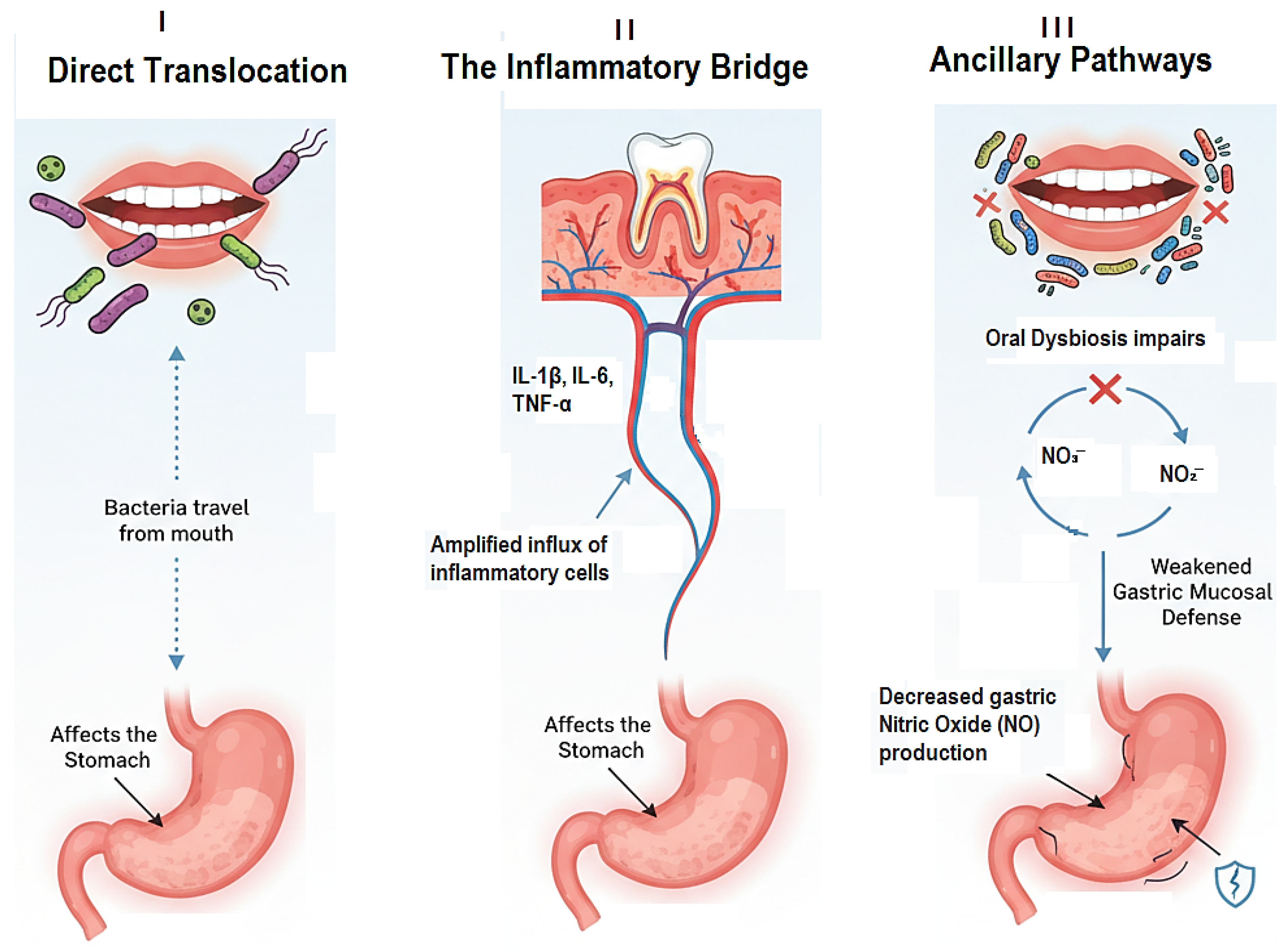 Medicina 61 02222 g001