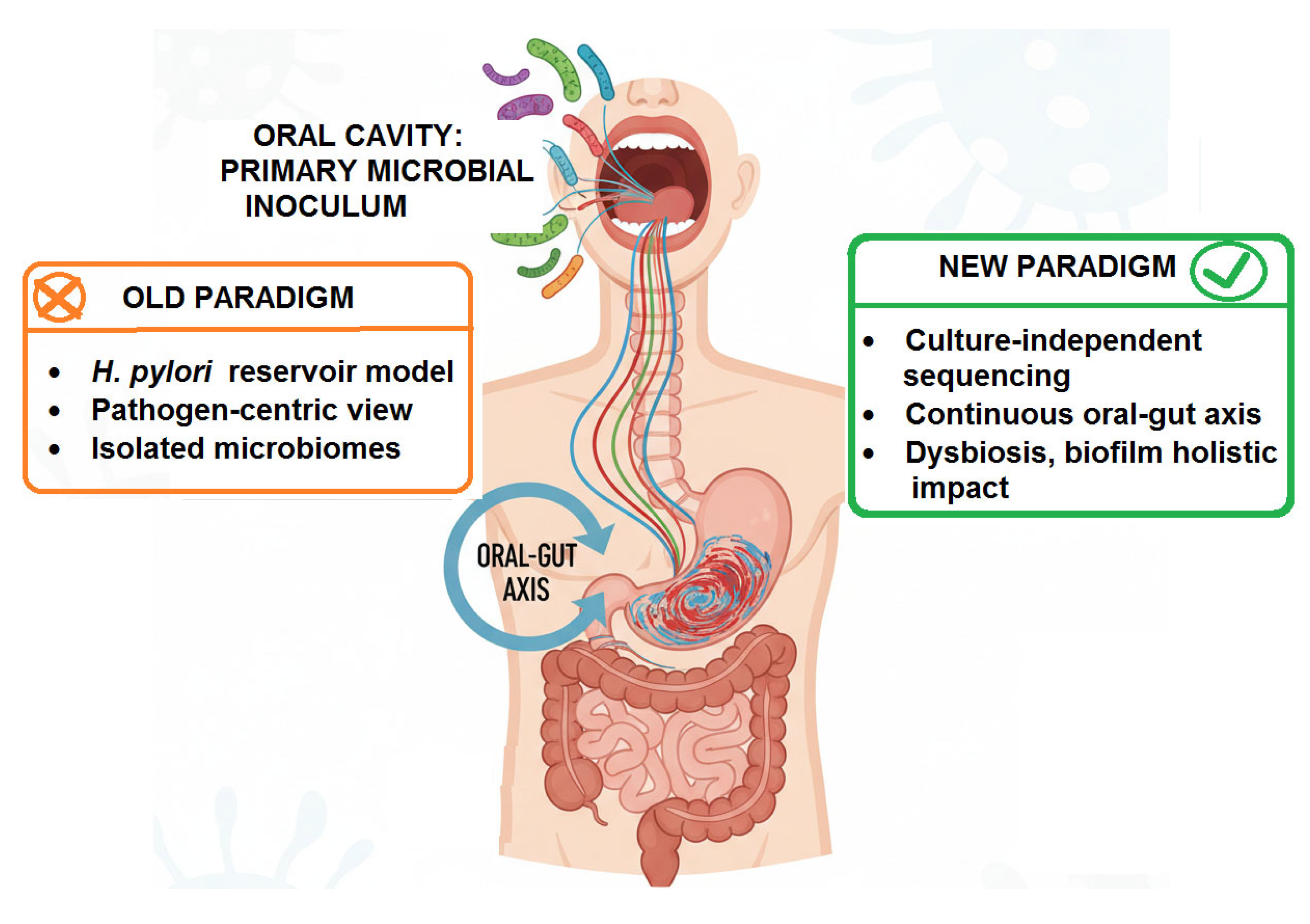 Medicina 61 02222 g003