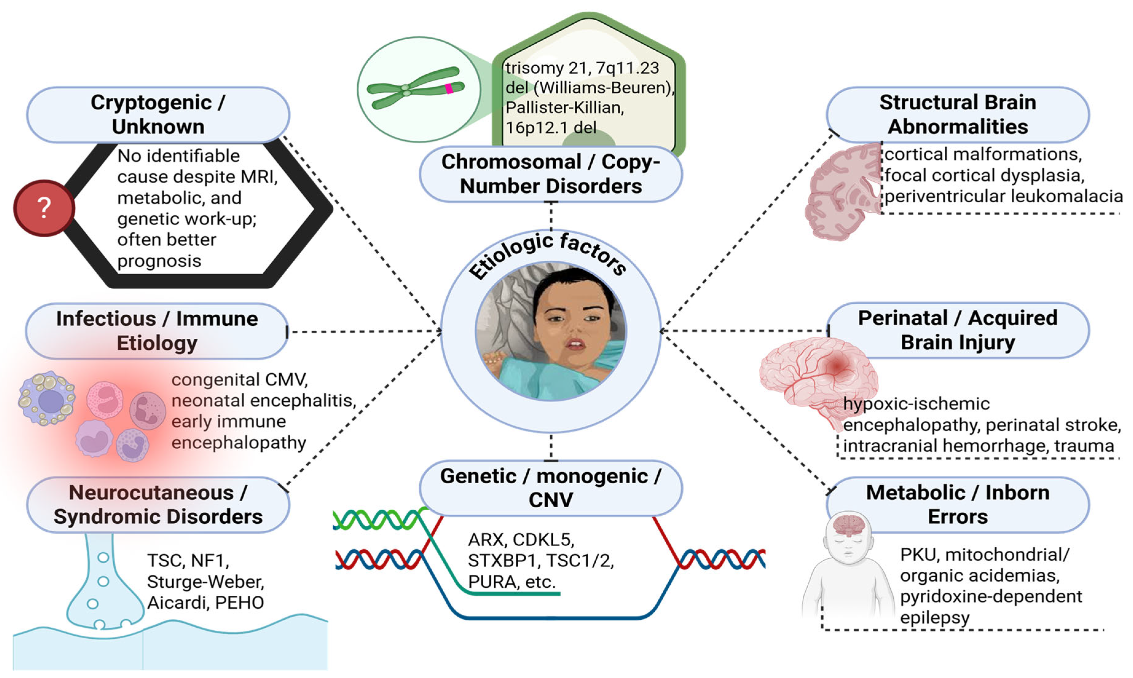 Medicina 61 02223 g001 Medicina 61 02223 g001