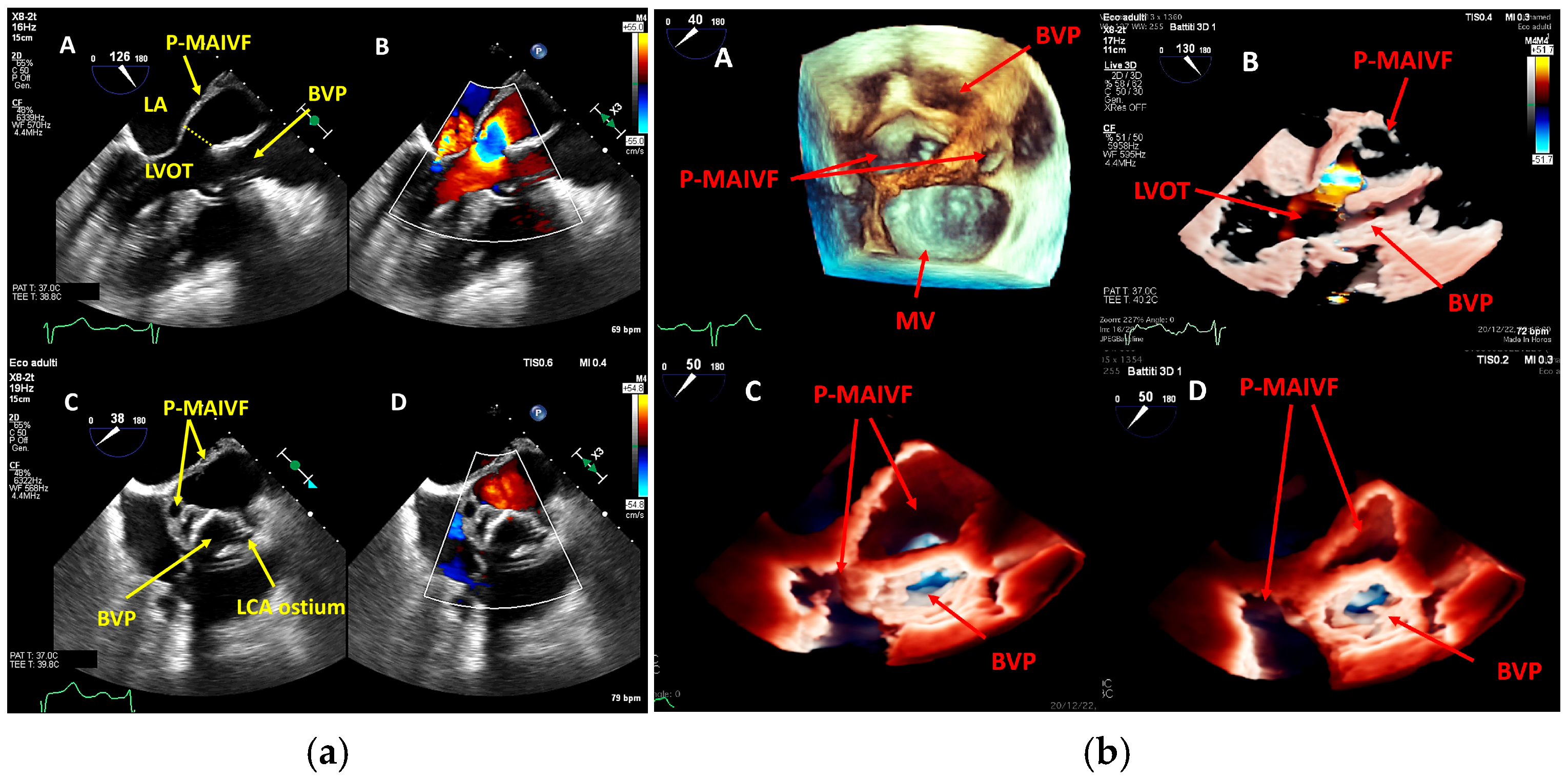 Medicina 61 02241 g009