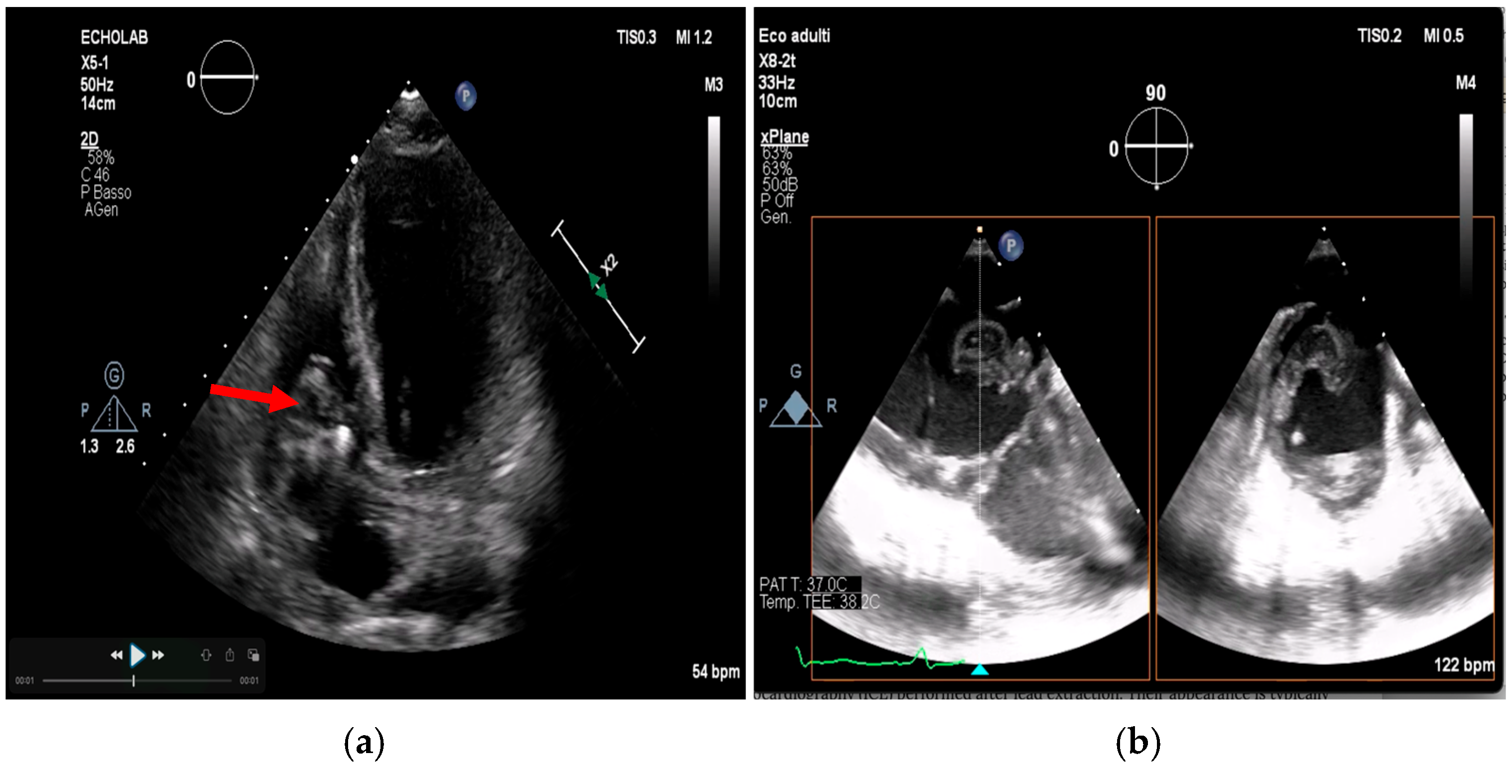 Medicina 61 02241 g010