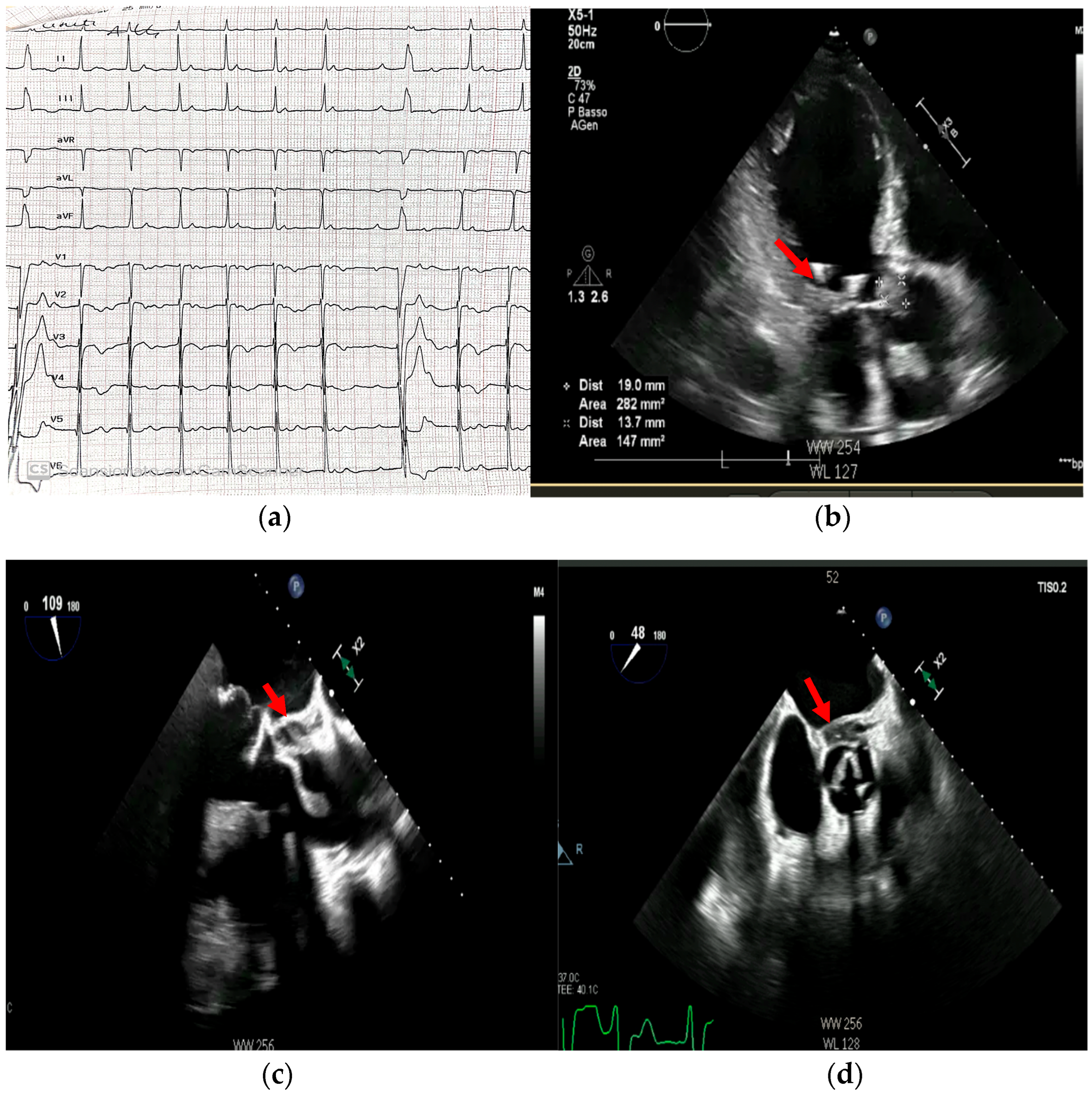 Medicina 61 02241 g019