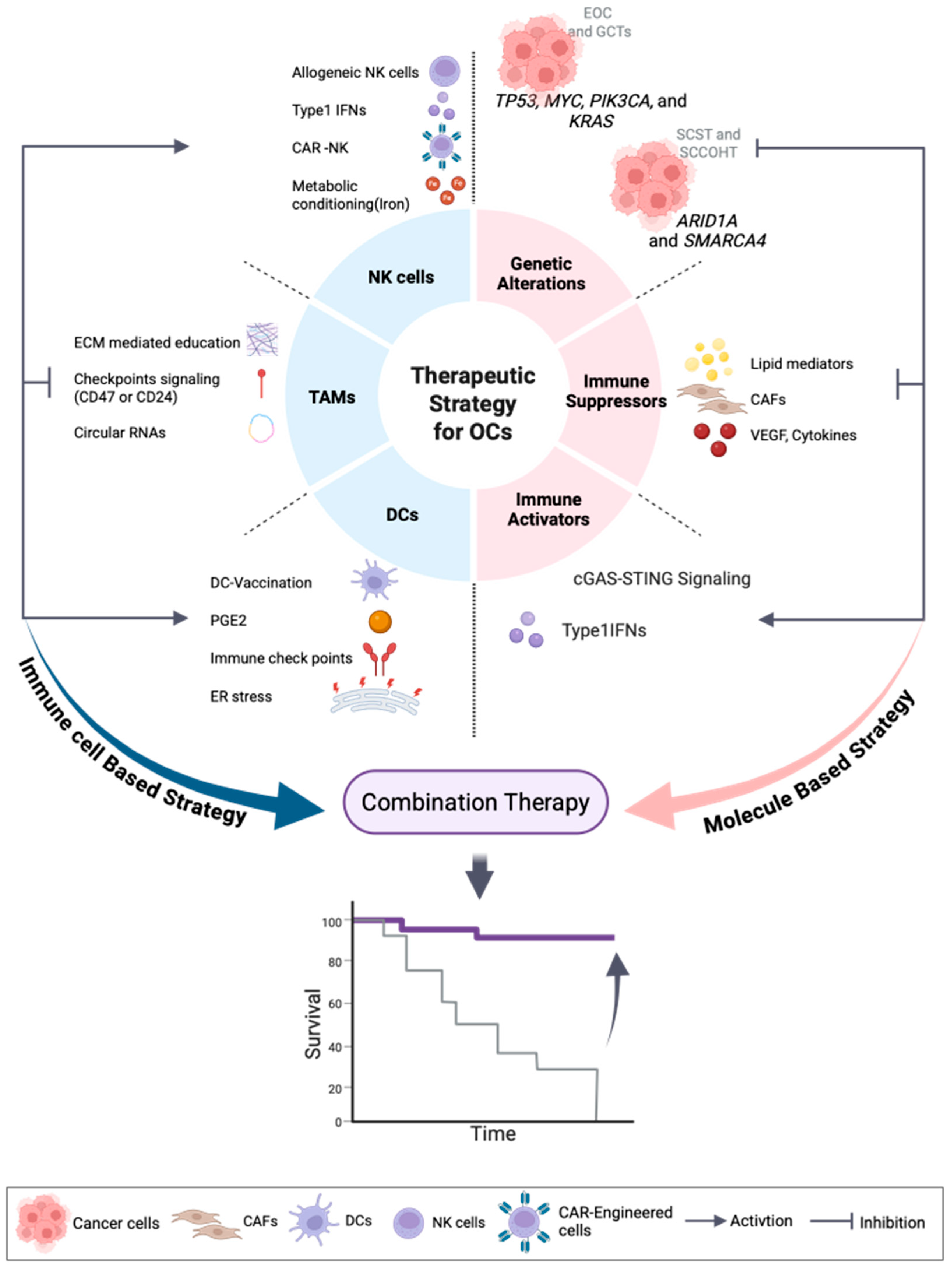 Medicina 61 02246 g001