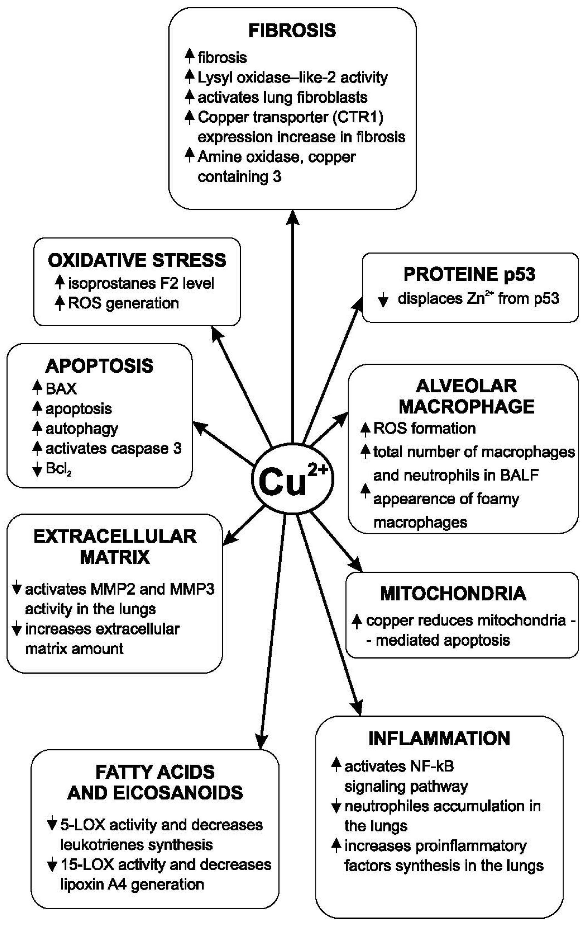 Medicina 62 00010 g002