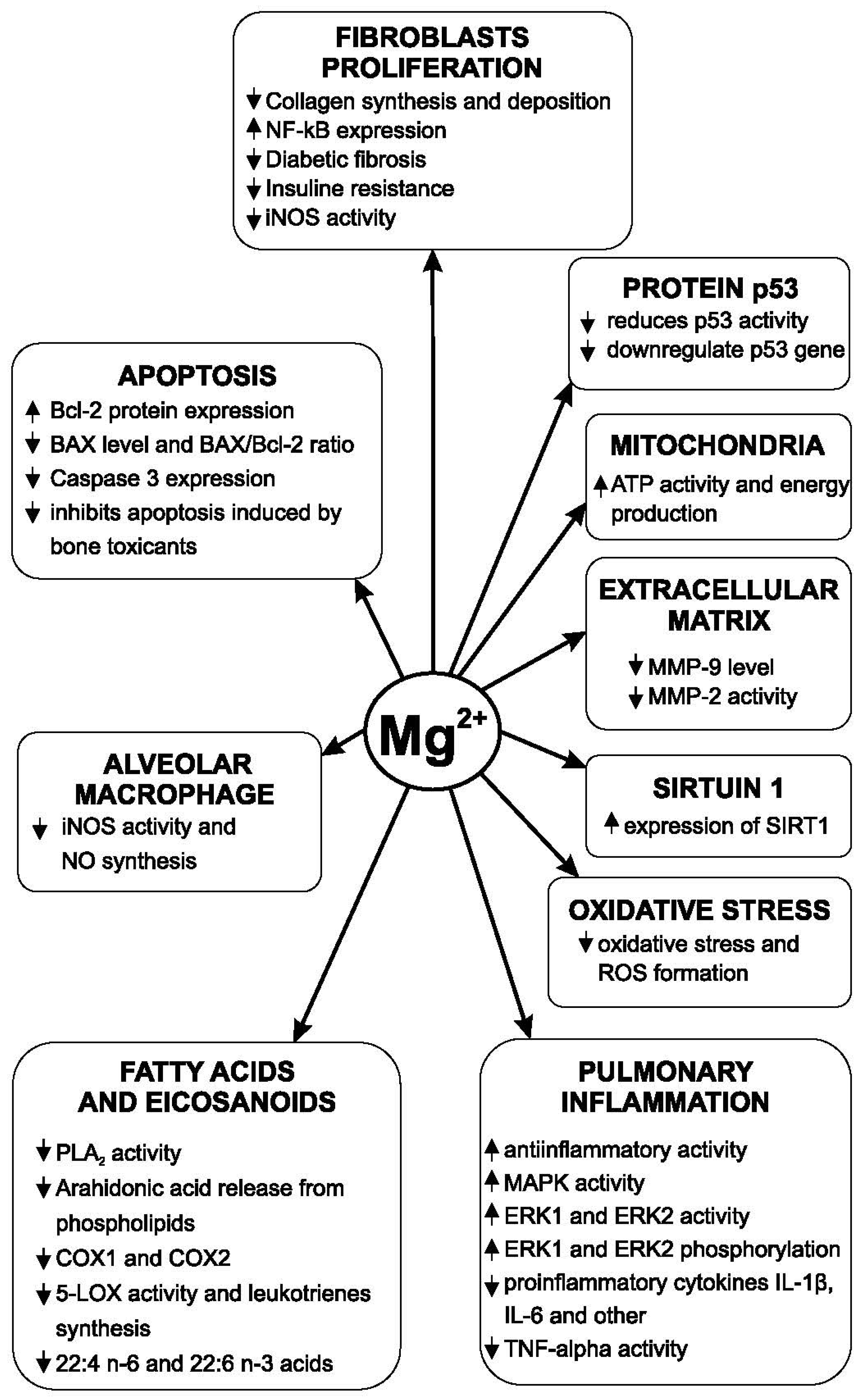 Medicina 62 00010 g003