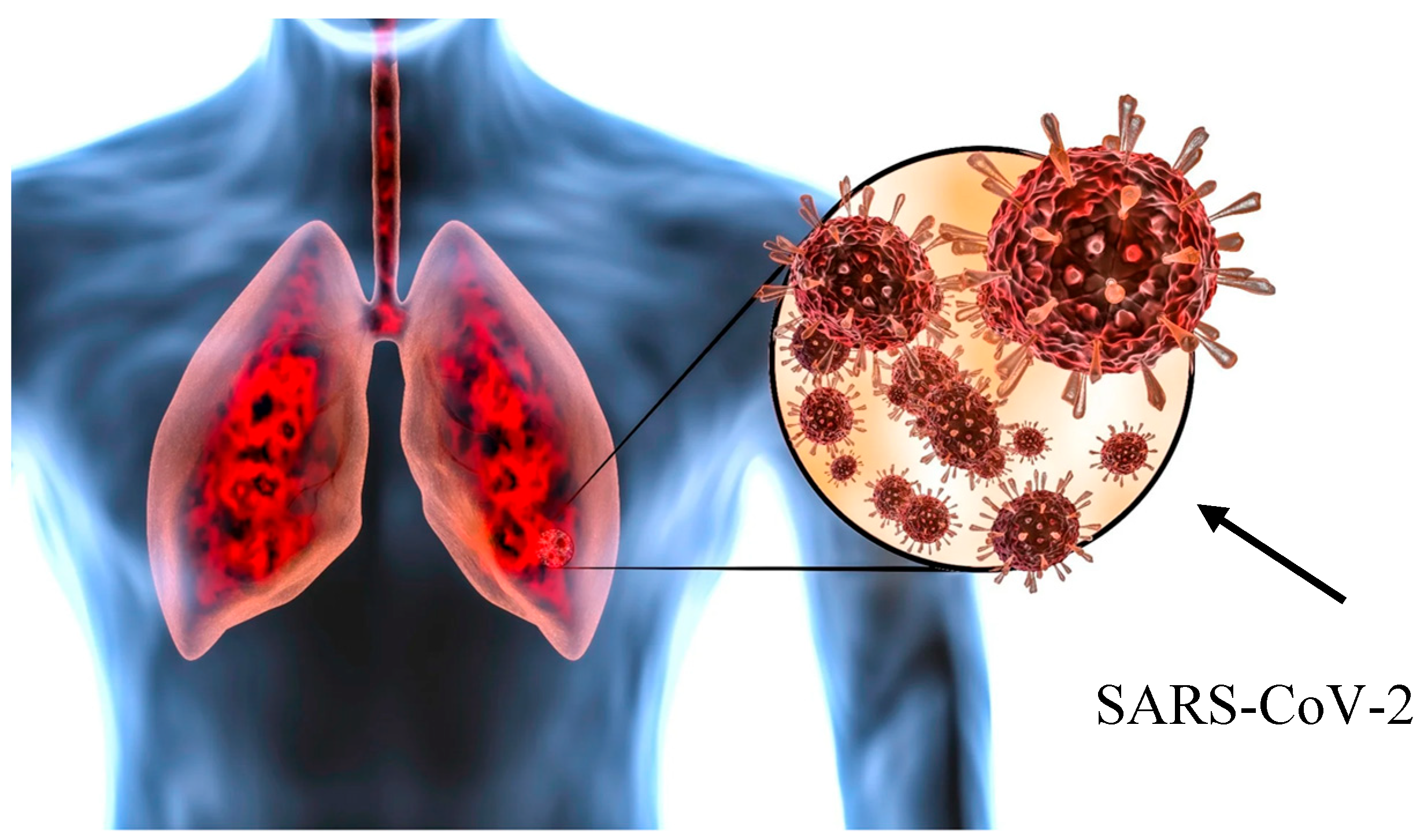 Medicina 62 00022 g001
