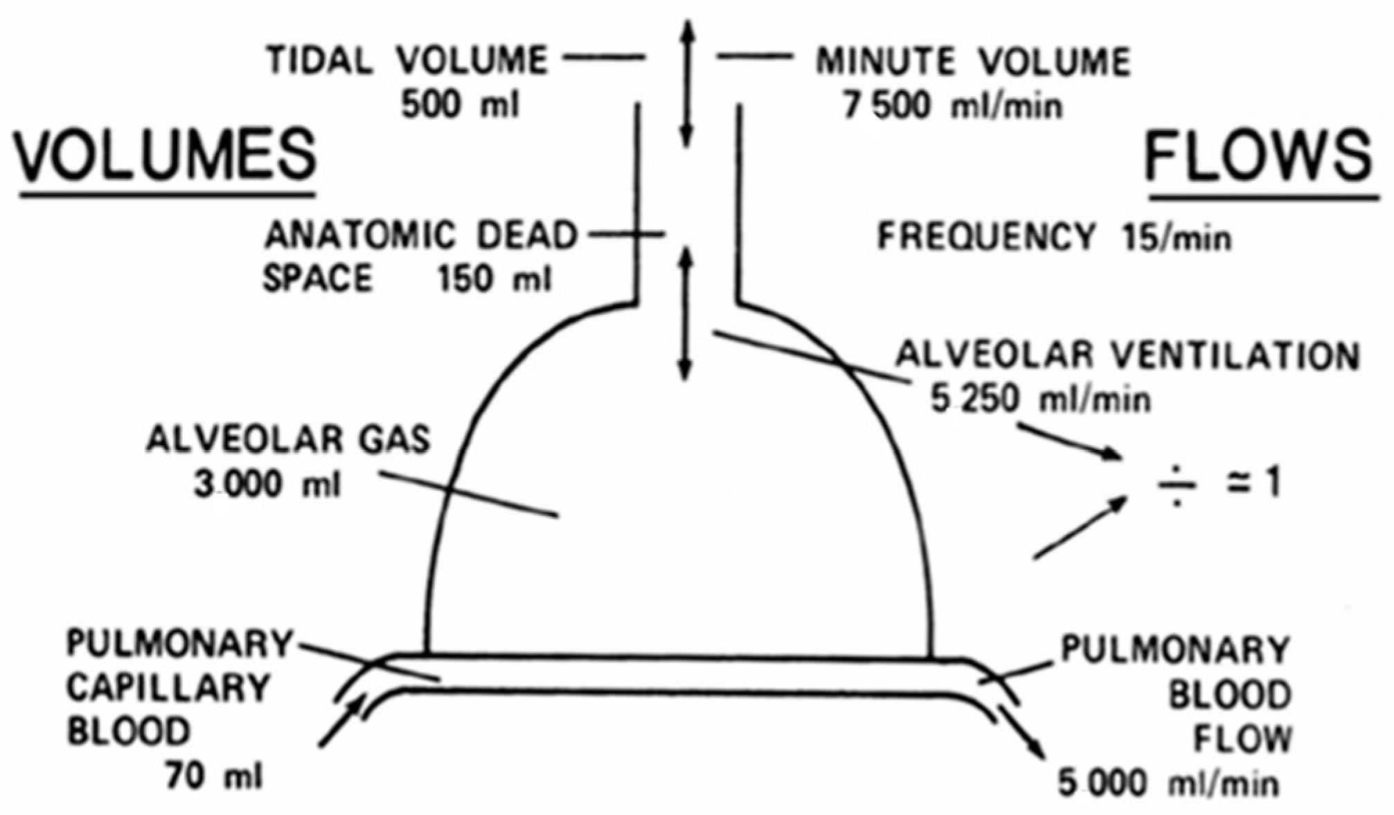 Medicina 62 00022 g002