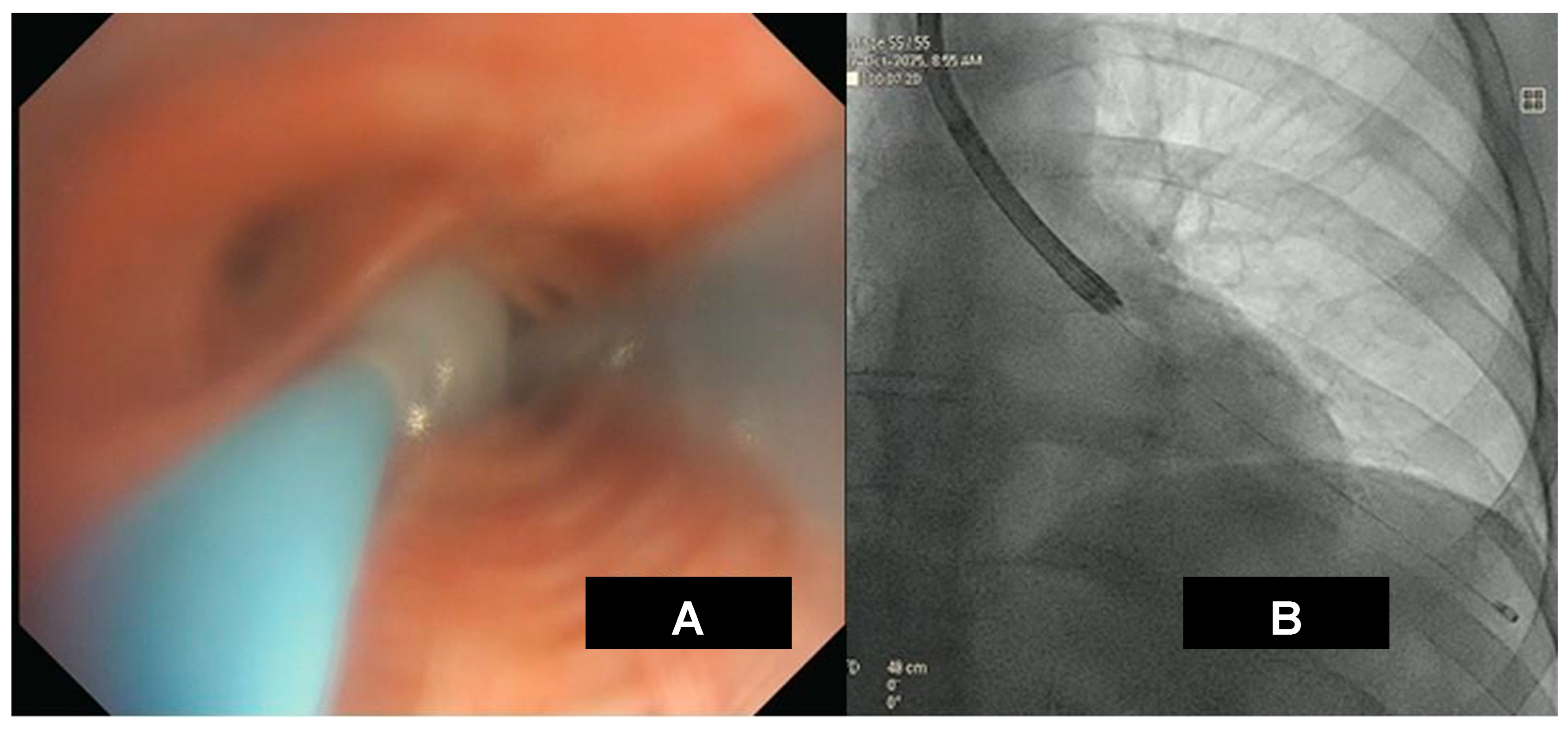 Medicina 62 00022 g008