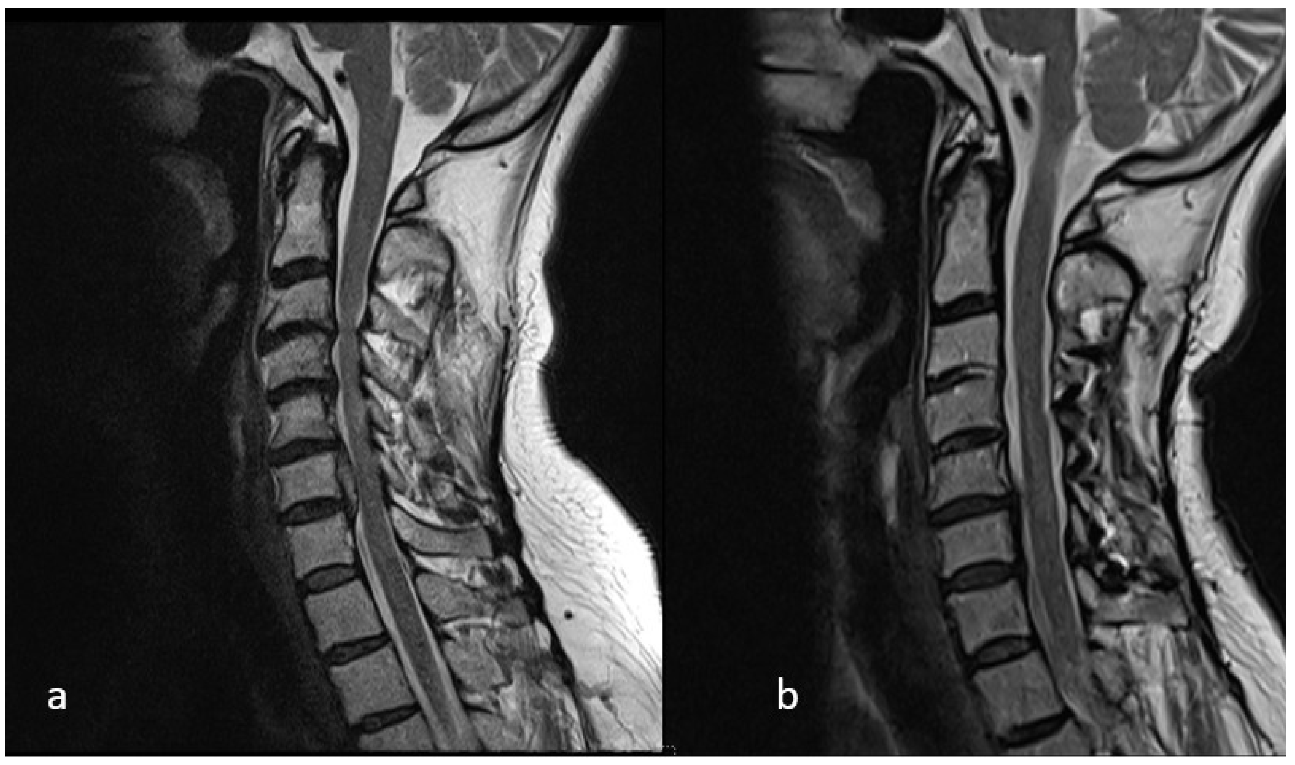 Medicina 62 00058 g001 Medicina 62 00058 g001
