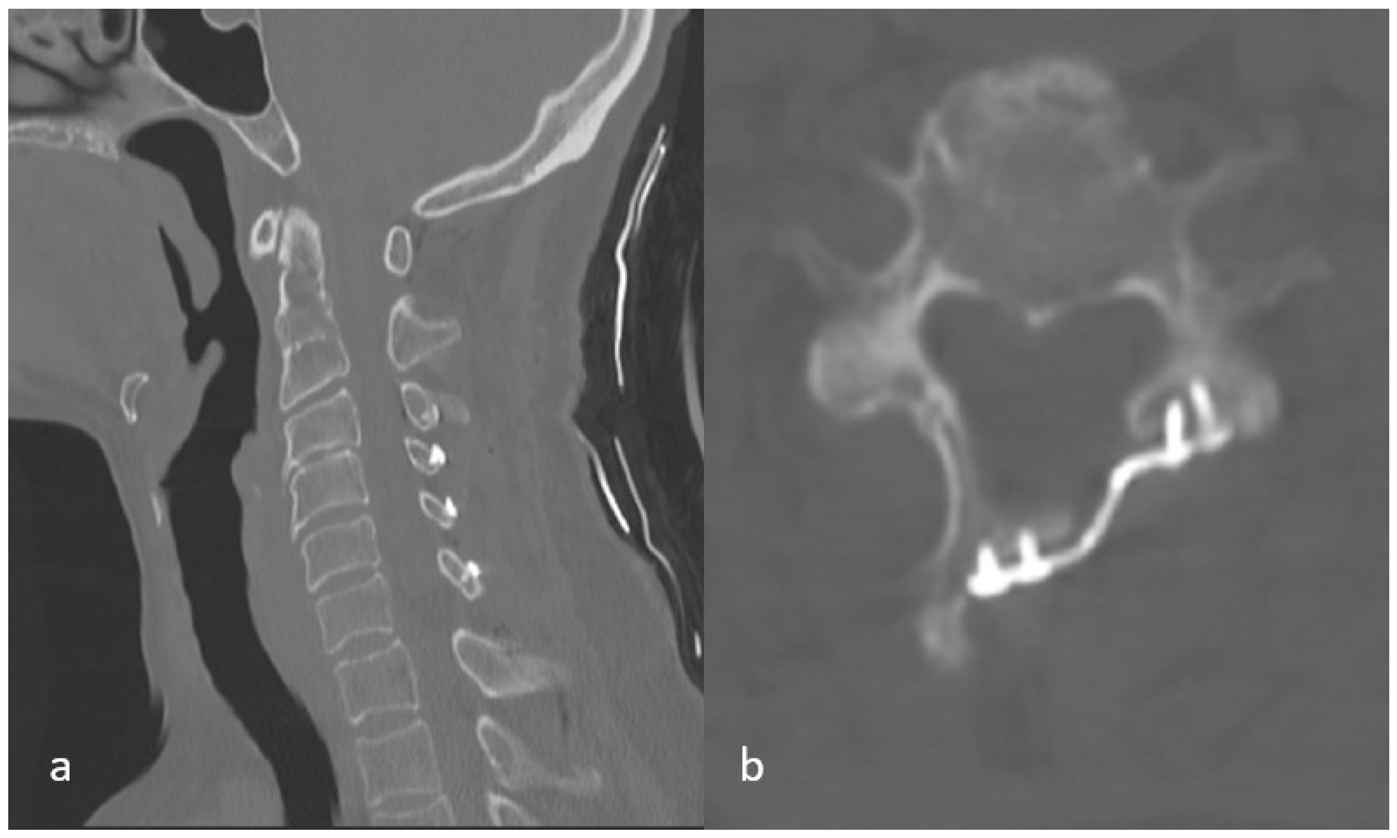 Medicina 62 00058 g002 Medicina 62 00058 g002